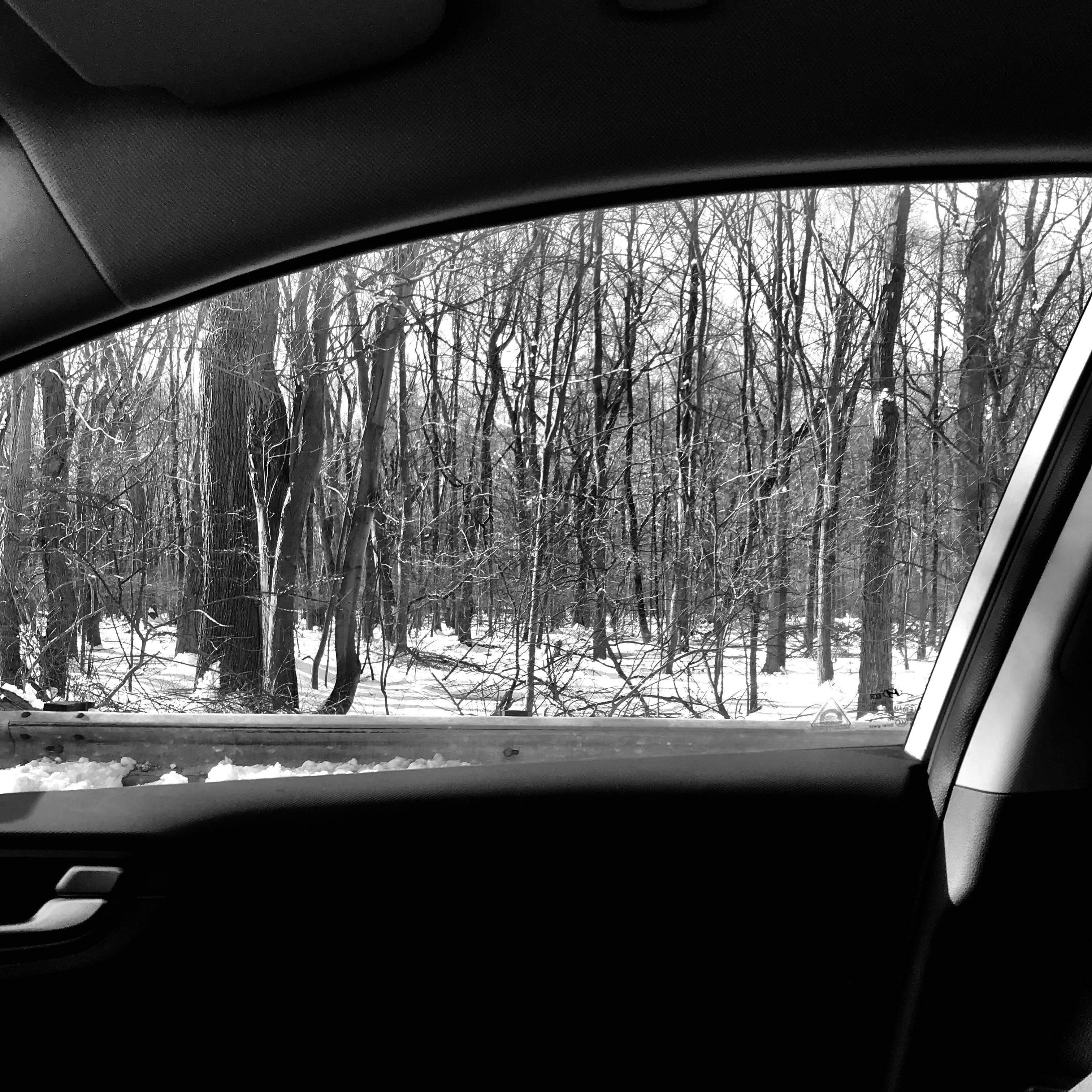 tree, car window, commute, tire, 2K, bare tree, window, bw, mode of transportation, car mirror, wheel, united states, passenger, car point of view, emerson, Phone HD Wallpaper