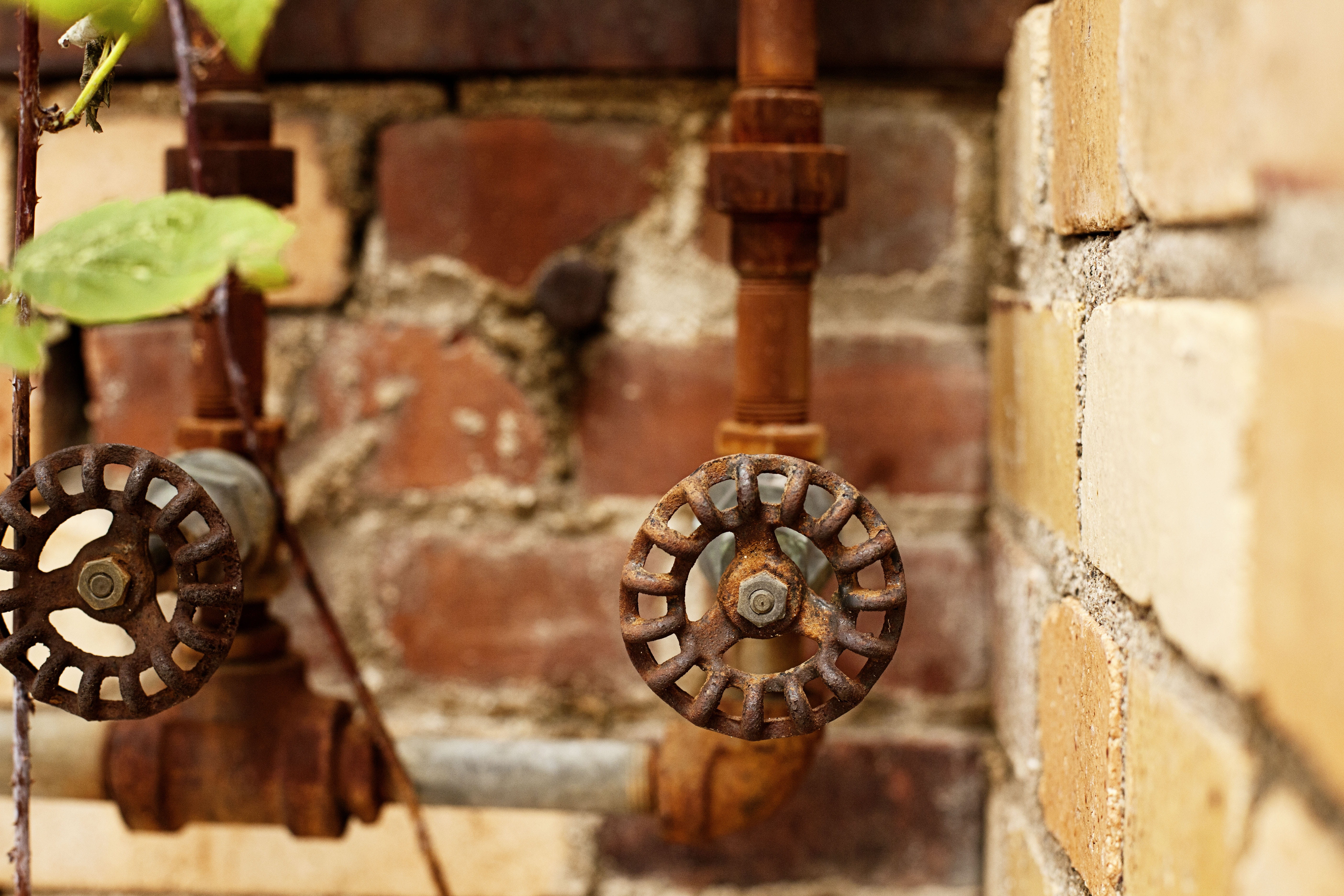 rusty, Water, focus on foreground, brick, Metal, outdoors, vintage, no people, wall - building feature, animal themes, design, brick wall, day, animal wildlife, HD Wallpaper