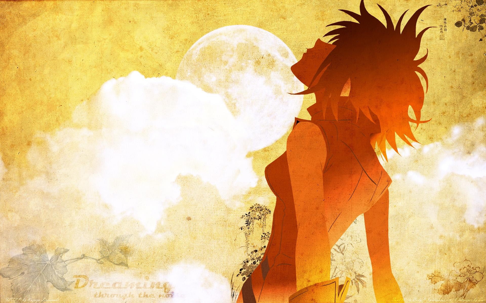 sunset, FLCL, Haruka, anime, Haruhara Haruko, 1080P, anime girls, HD Wallpaper