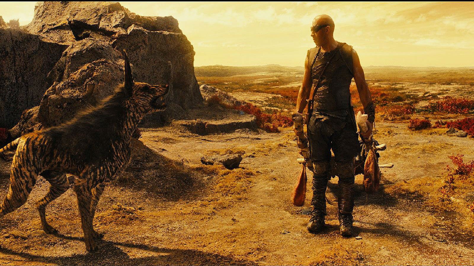 domestic animals, sci, domestic, Fighting, men, vertebrate, Riddick, action, lifestyles, leisure activity, Futuristic, walking, 720P, fi, Chronriddick, HD Wallpaper