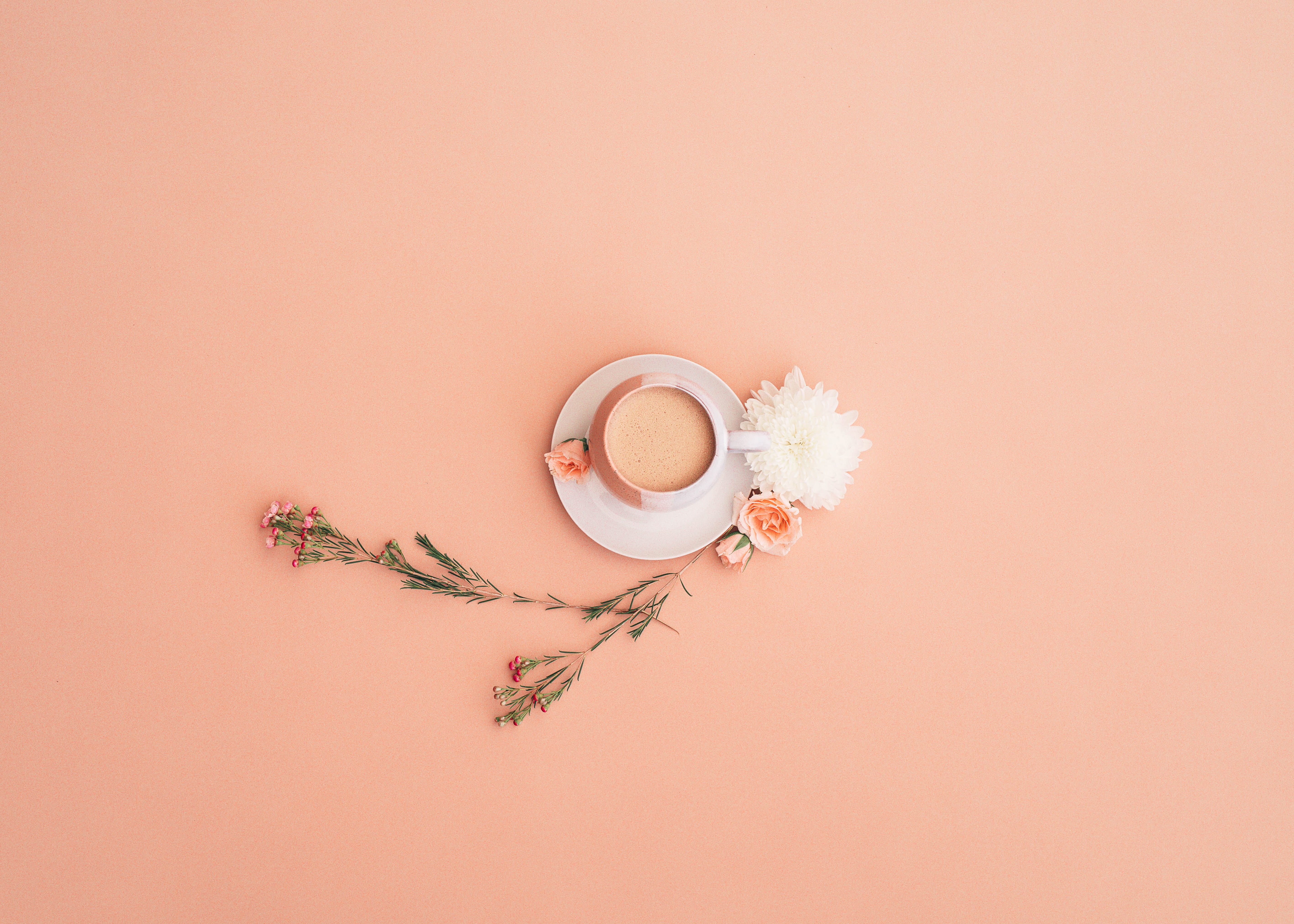white, flora, fragility, flat, drink, nature, top down, 5K, cup, flowering plant, floral, no people, vulnerability, beside, simplicity, mug, beverage, HD Wallpaper