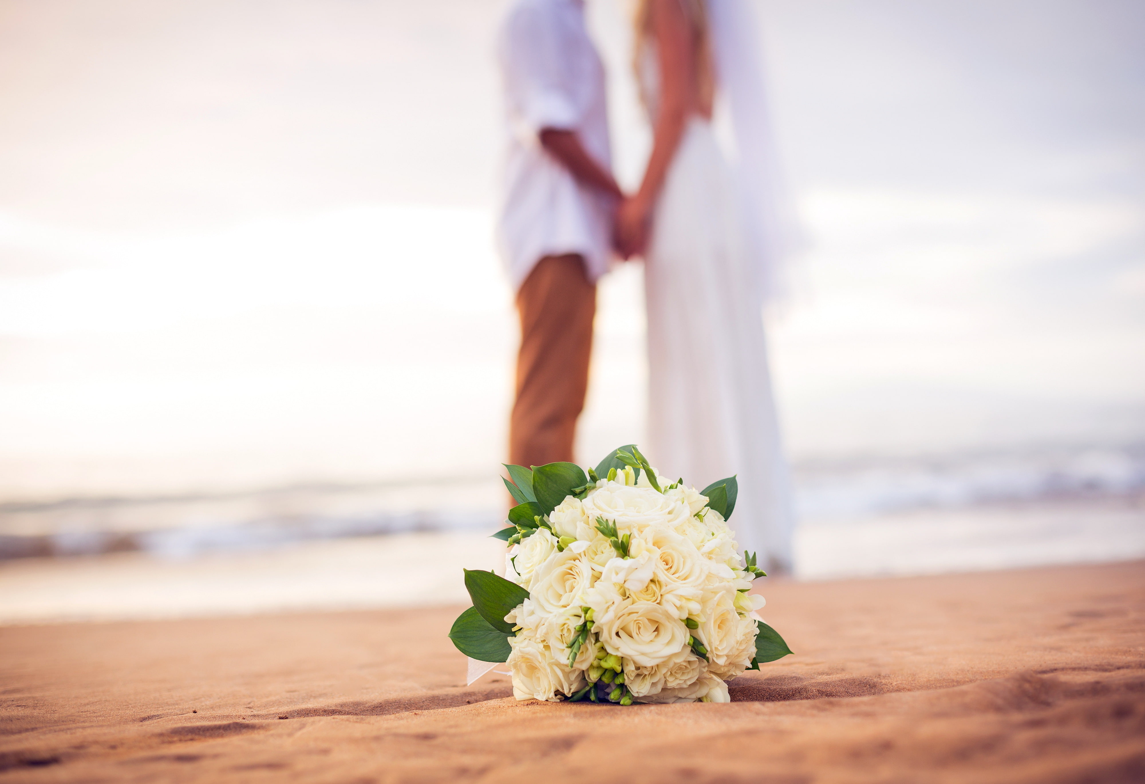copy Space, positive emotion, land, beauty in nature, white, smiling, water, wife, males, life events, event, two People, beach, relaxation, flower arrangement, HD Wallpaper
