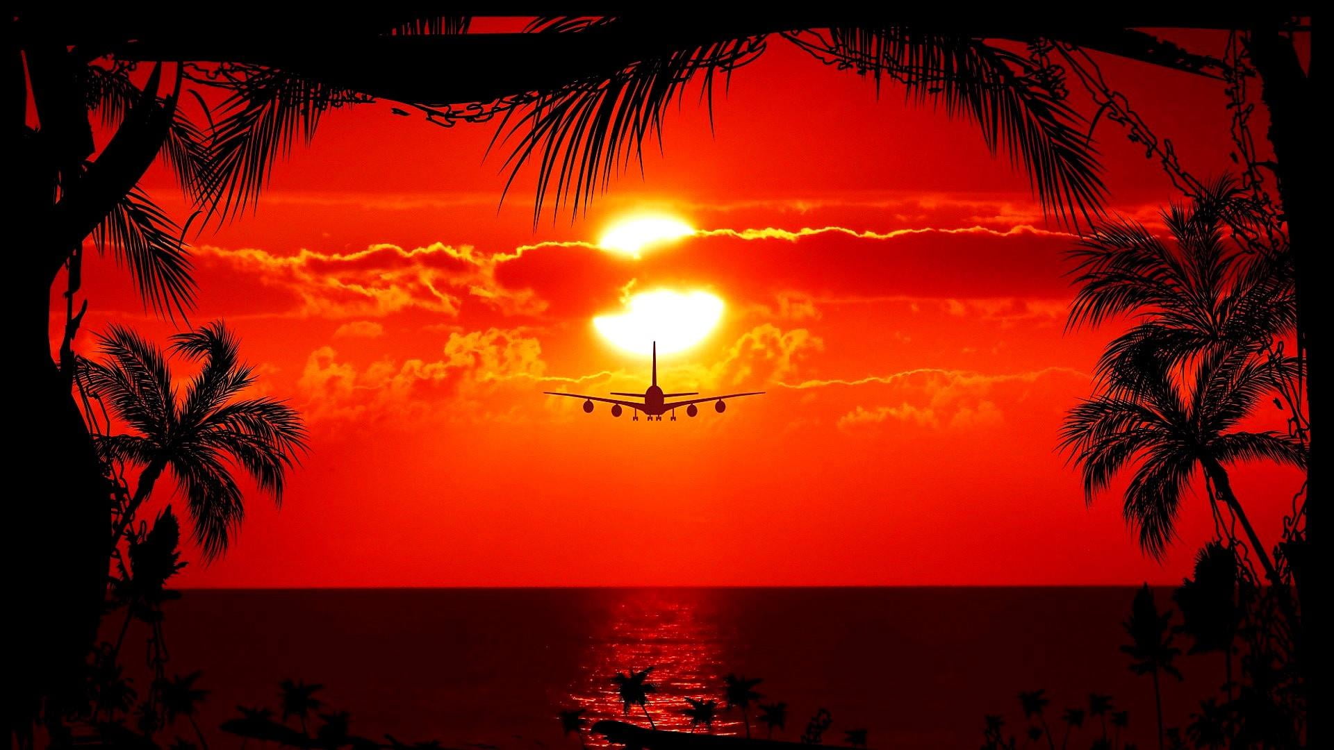 orange color, firework, sunset, palm tree, sea, event, sky, illuminated, nature, beauty in nature, no people, plant, beach, silhouette, red tropical sunset, HD Wallpaper