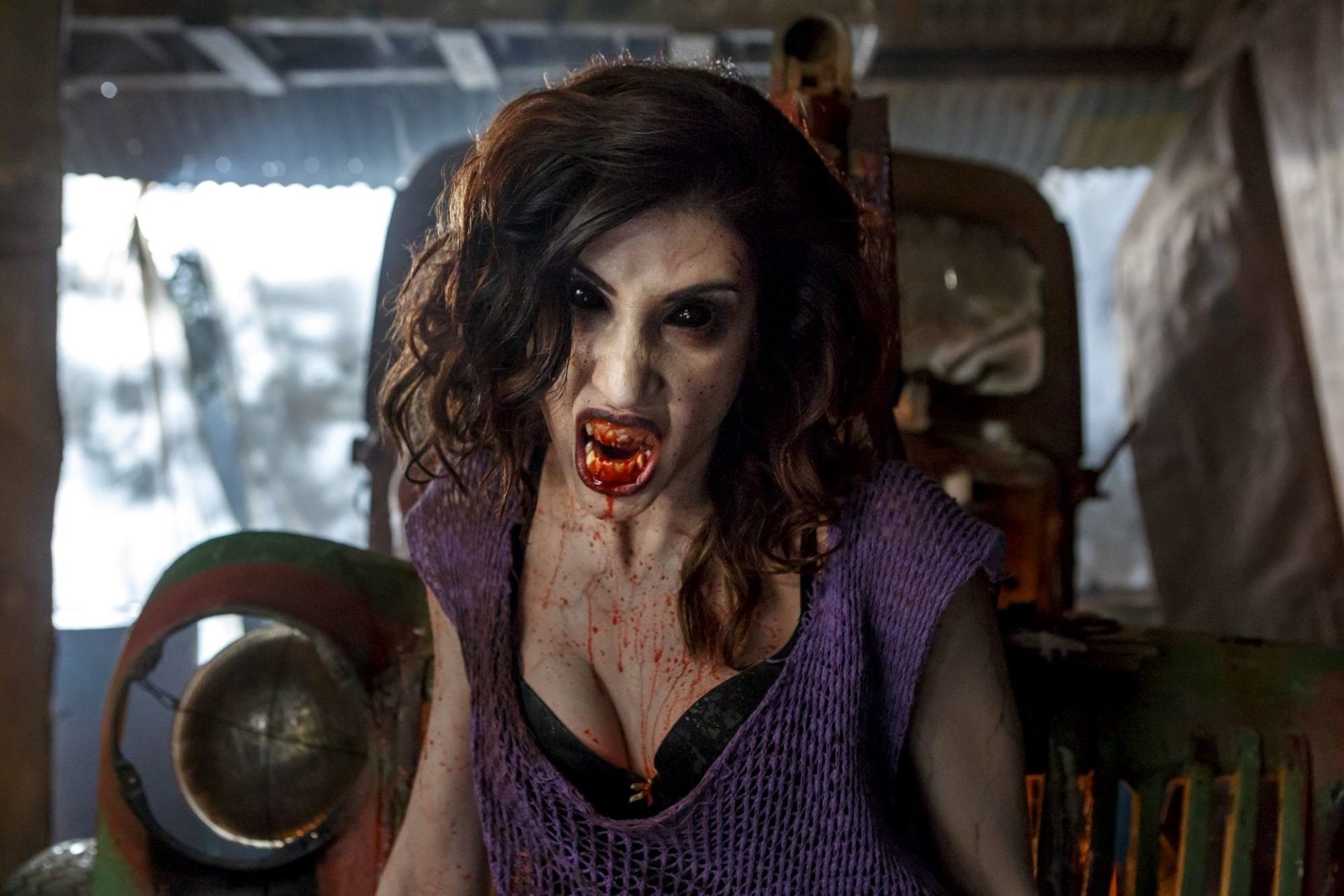 1080P, TV Show, Ash vs. Evil Dead, Ash vs Evil Dead, Dana DeLorenzo, HD Wallpaper