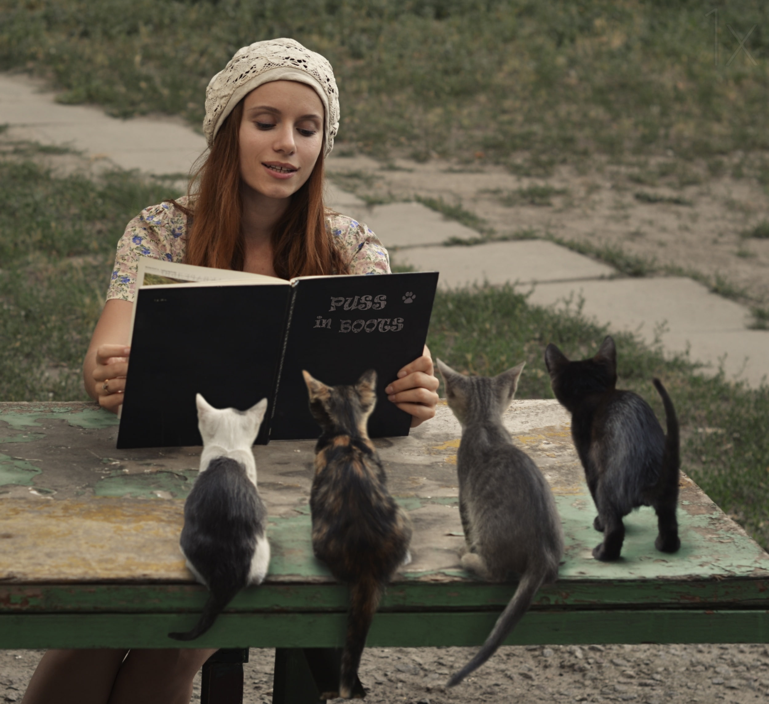 David Dubnitskiy, kittens, girl, book, 1080P, Puss in boots, HD Wallpaper