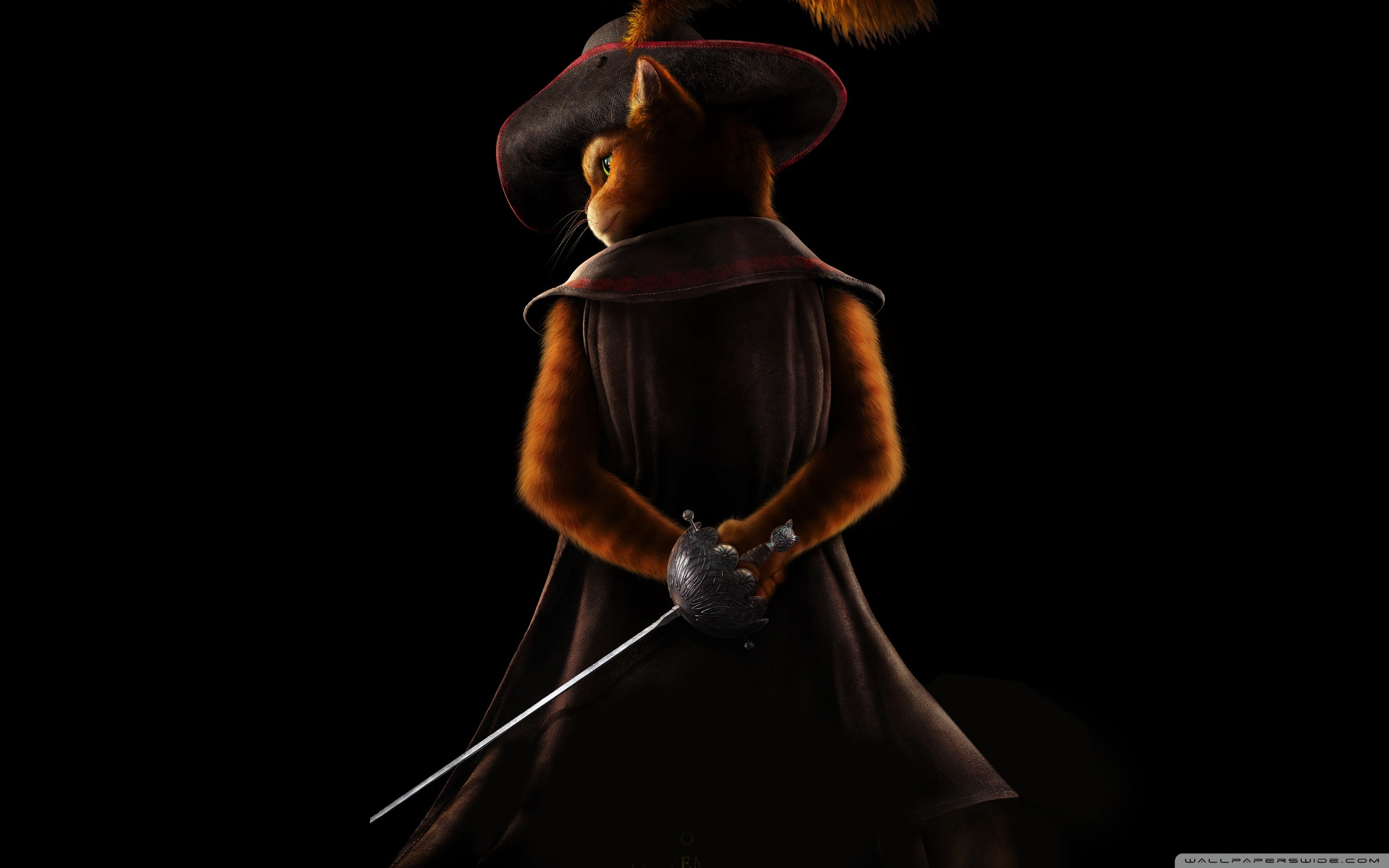 boots, 2K, puss, 2011, movie, HD Wallpaper