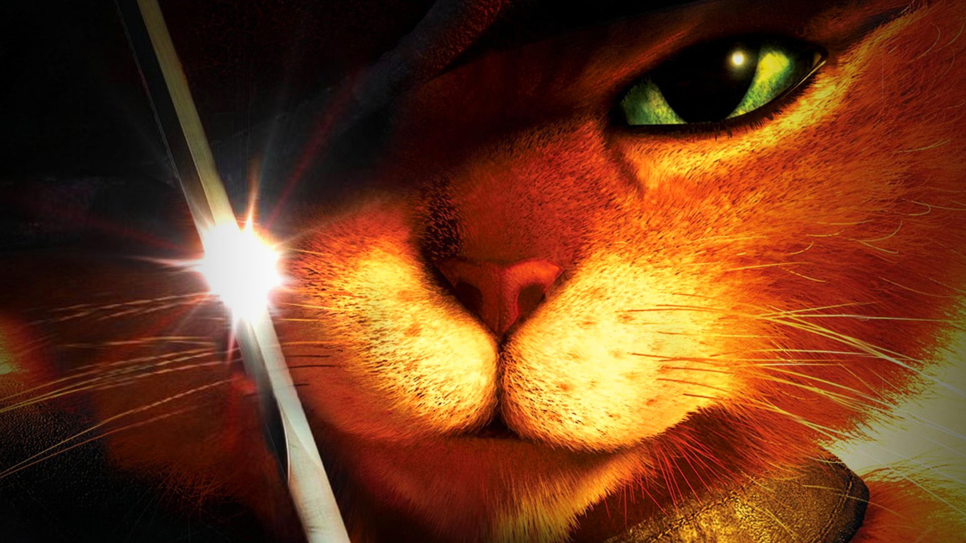 1080P, boots, puss, HD Wallpaper