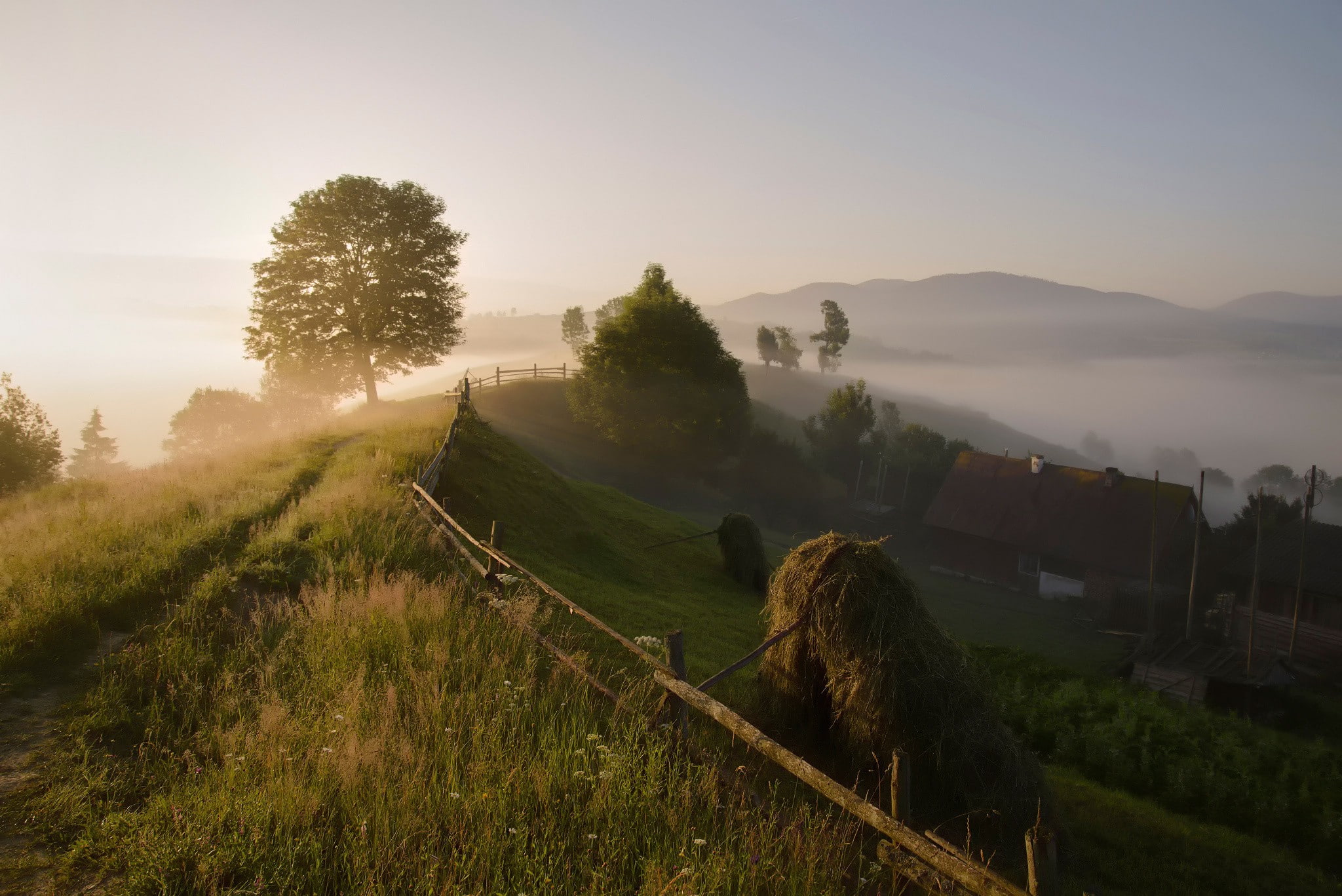 the morning mist, carpathian, 1080P, the village, summer, Carpathian mountains, mountains, HD Wallpaper