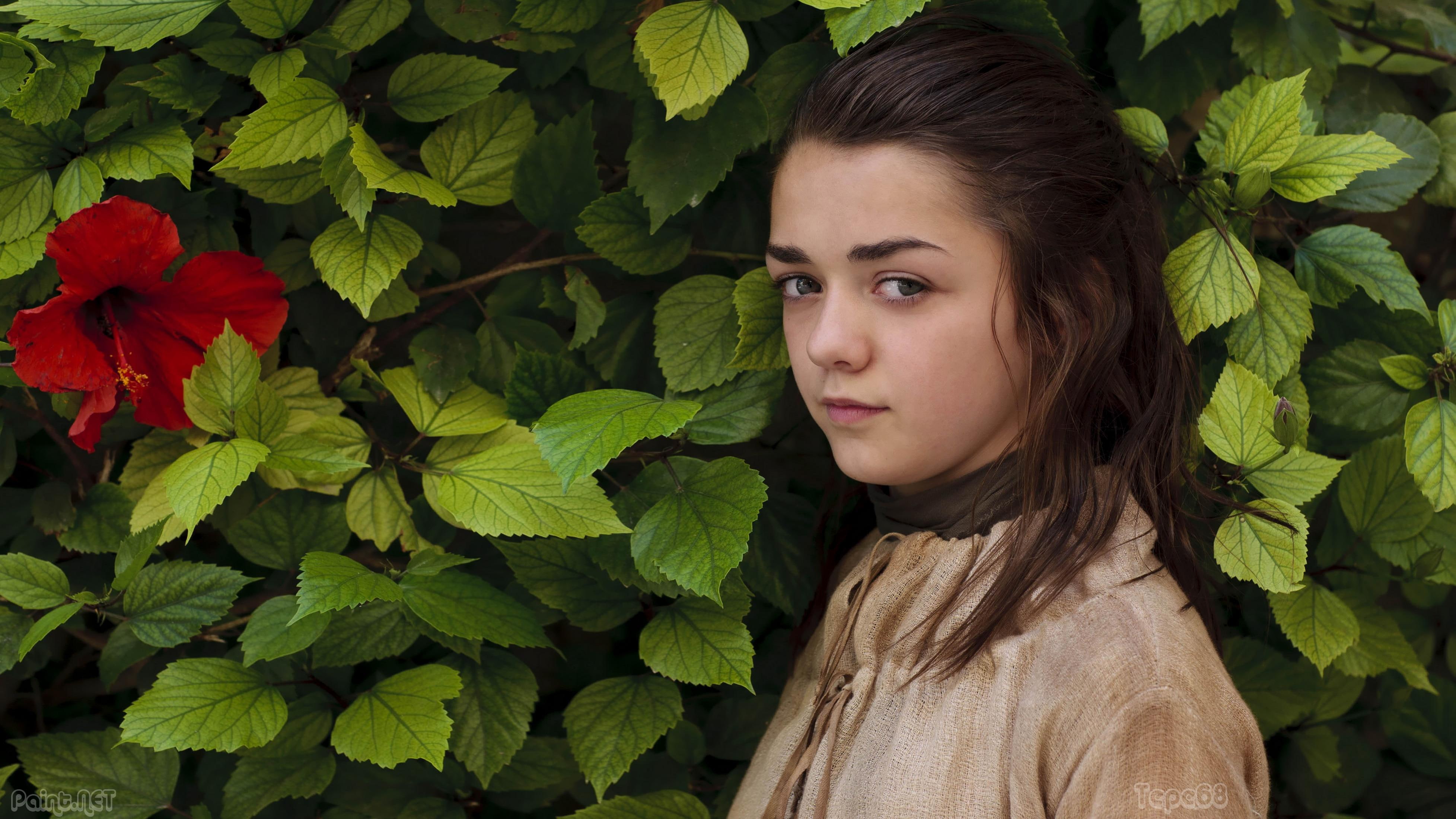 4K, glance, celebrities, women, maisie, crew, brown, foliage, s, maisie williams, brunette girl, williams, top, neck, HD Wallpaper