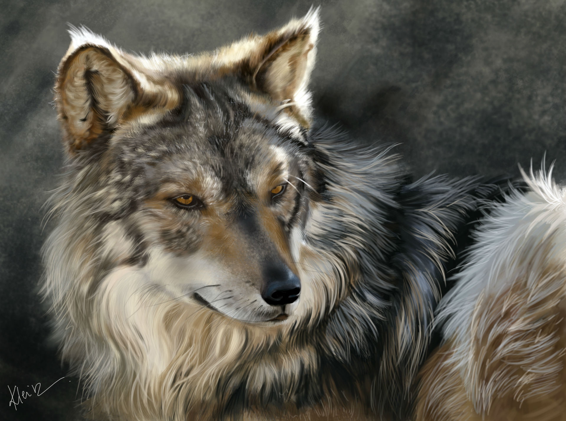 art, wolves, painting, wolf, animals, 1080P, glance, HD Wallpaper