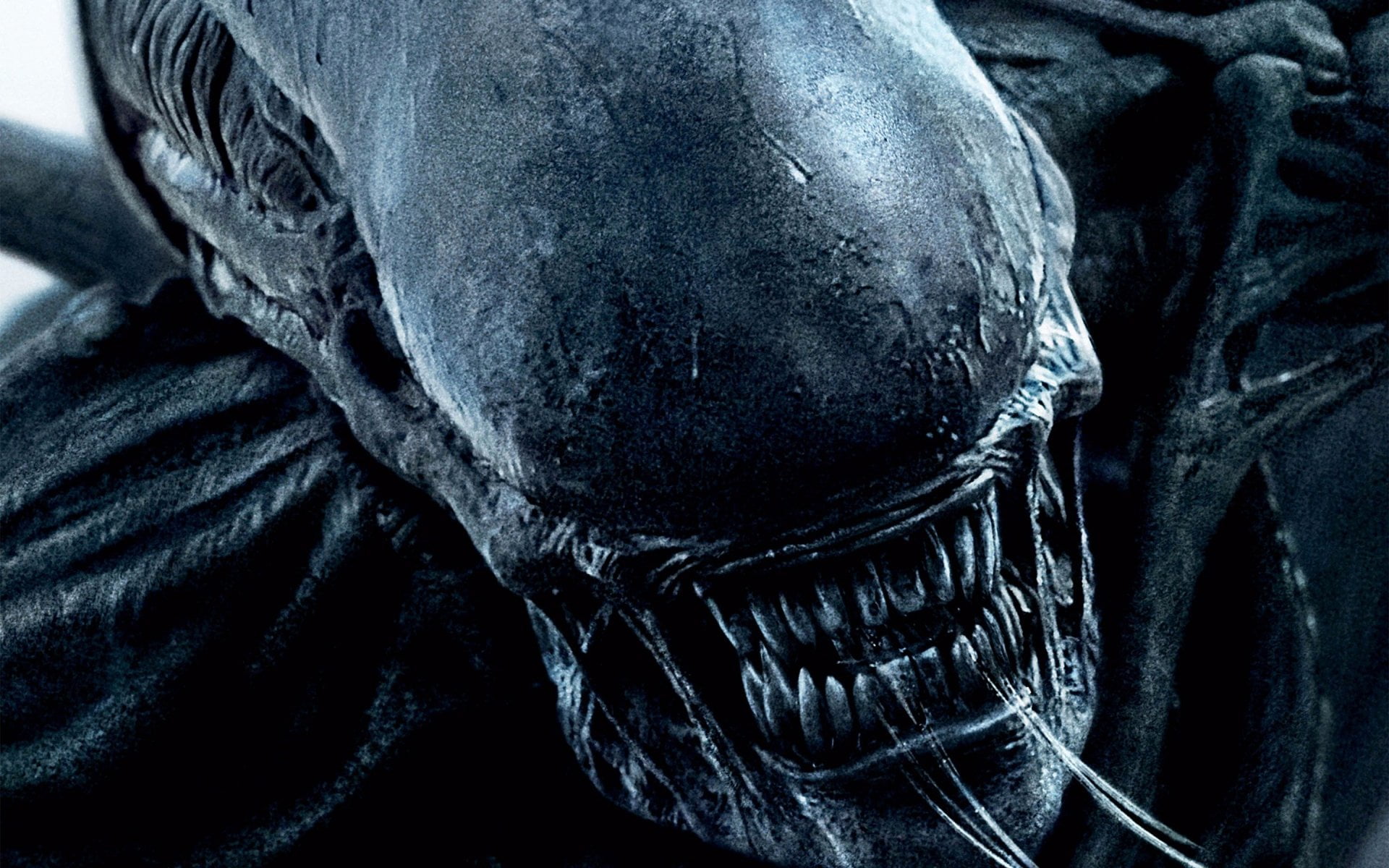 body part, Xenomorph, casual clothing, adult, strength, hood, midsection, clothing, 1080P, jeans, men, Alien: Covenant, one person, human bone, indoors, HD Wallpaper