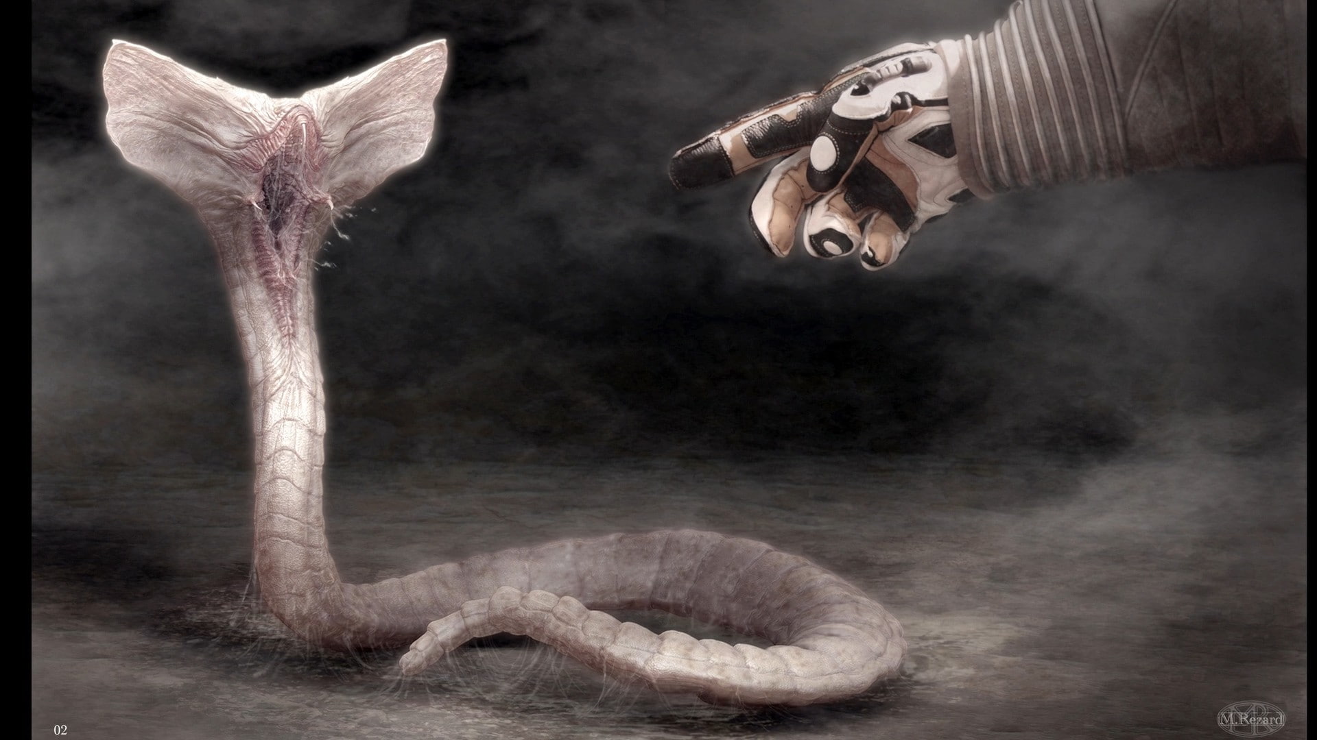 hand, animal wildlife, monster, indoors, sport, snakes, 1080P, Prometheus, nature, fi, people, creepy, Dark, Aliens, adventure, extreme sports, mammal, HD Wallpaper
