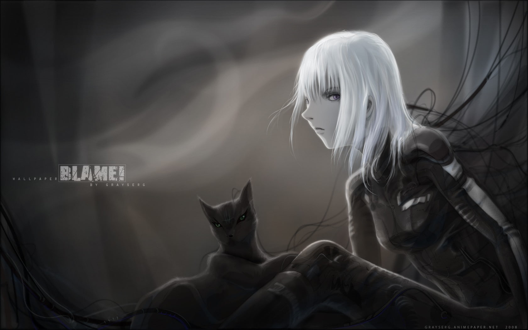 720P, young adult, blond hair, one person, blame cat white hair cibo, beautiful woman, long hair, beauty, indoors, adult, three quarter length, women, HD Wallpaper