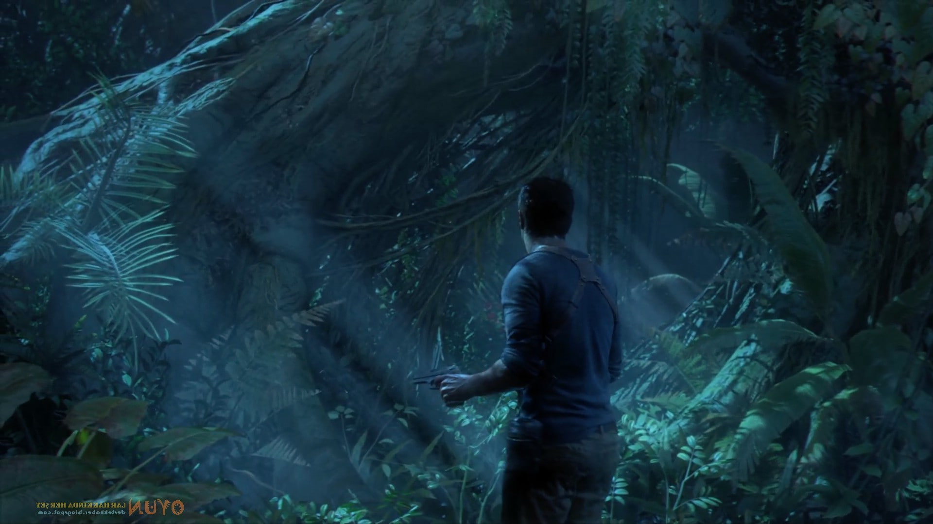 marine, tank, group of animals, sea, swimming, one person, water, animal wildlife, Nathan Drake, video games, Uncharted 4: A Thiefs End, sea life, vertebrate, HD Wallpaper