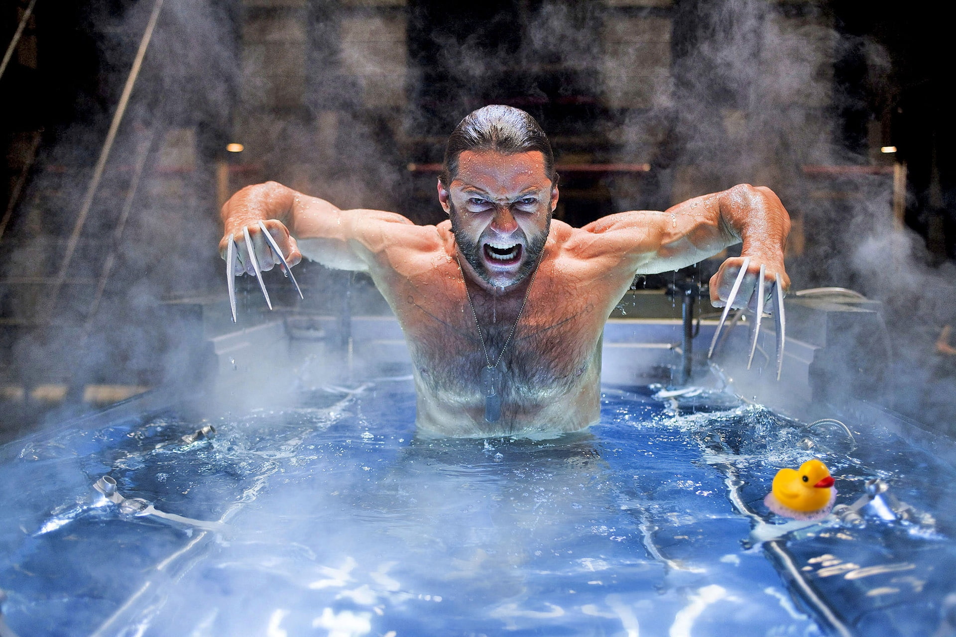 1080P, animals, rubber, art, jackman, funny, hugh, Hugh Jackman, rubber ducks, Wolverine, ducks, hd, HD Wallpaper