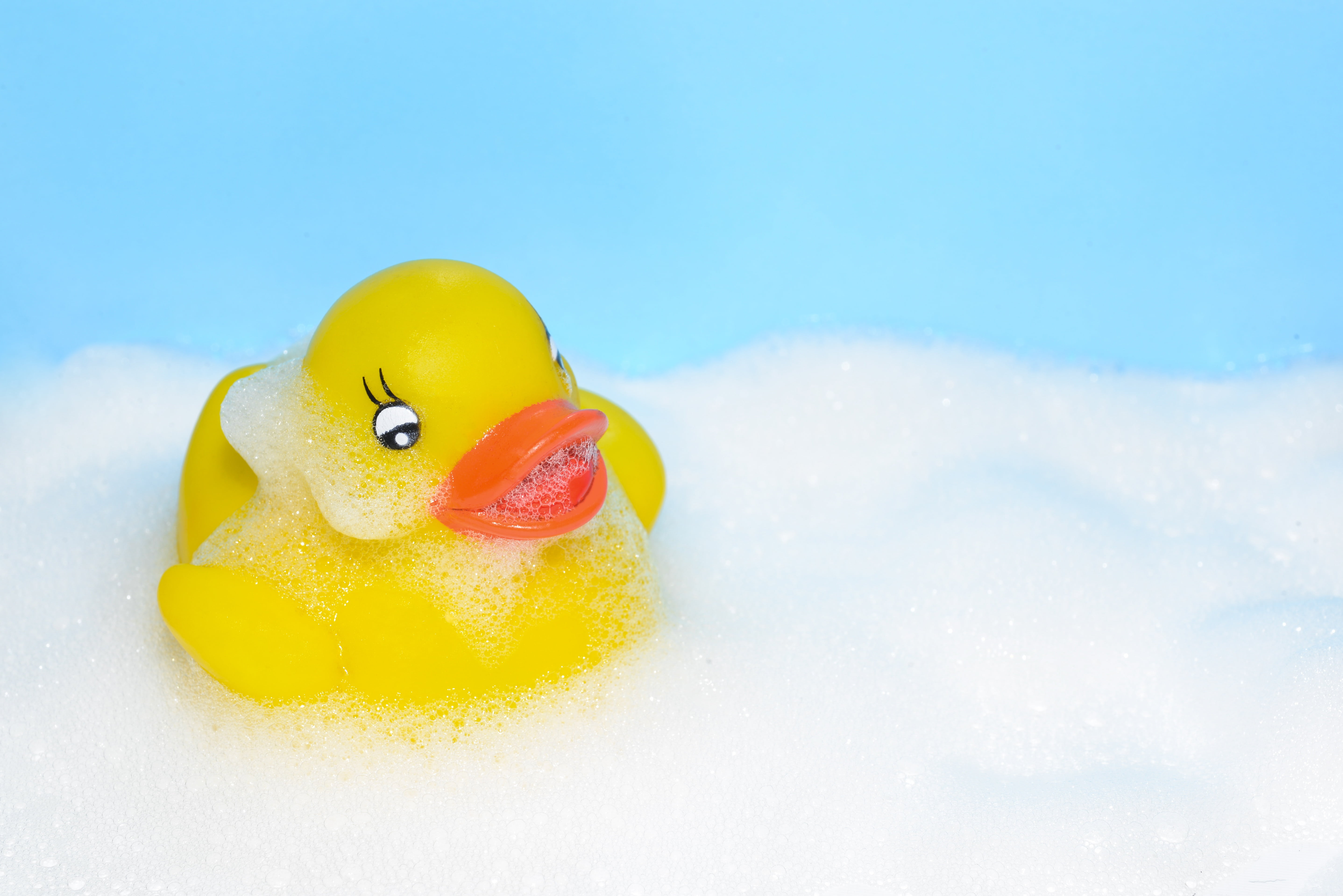 indoors, duckling, fun, play, close-up, toy, floating, yellow, foam, bath, bathroom, icon, swimming pool, floating on water, white, 5K, domestic bathroom, HD Wallpaper