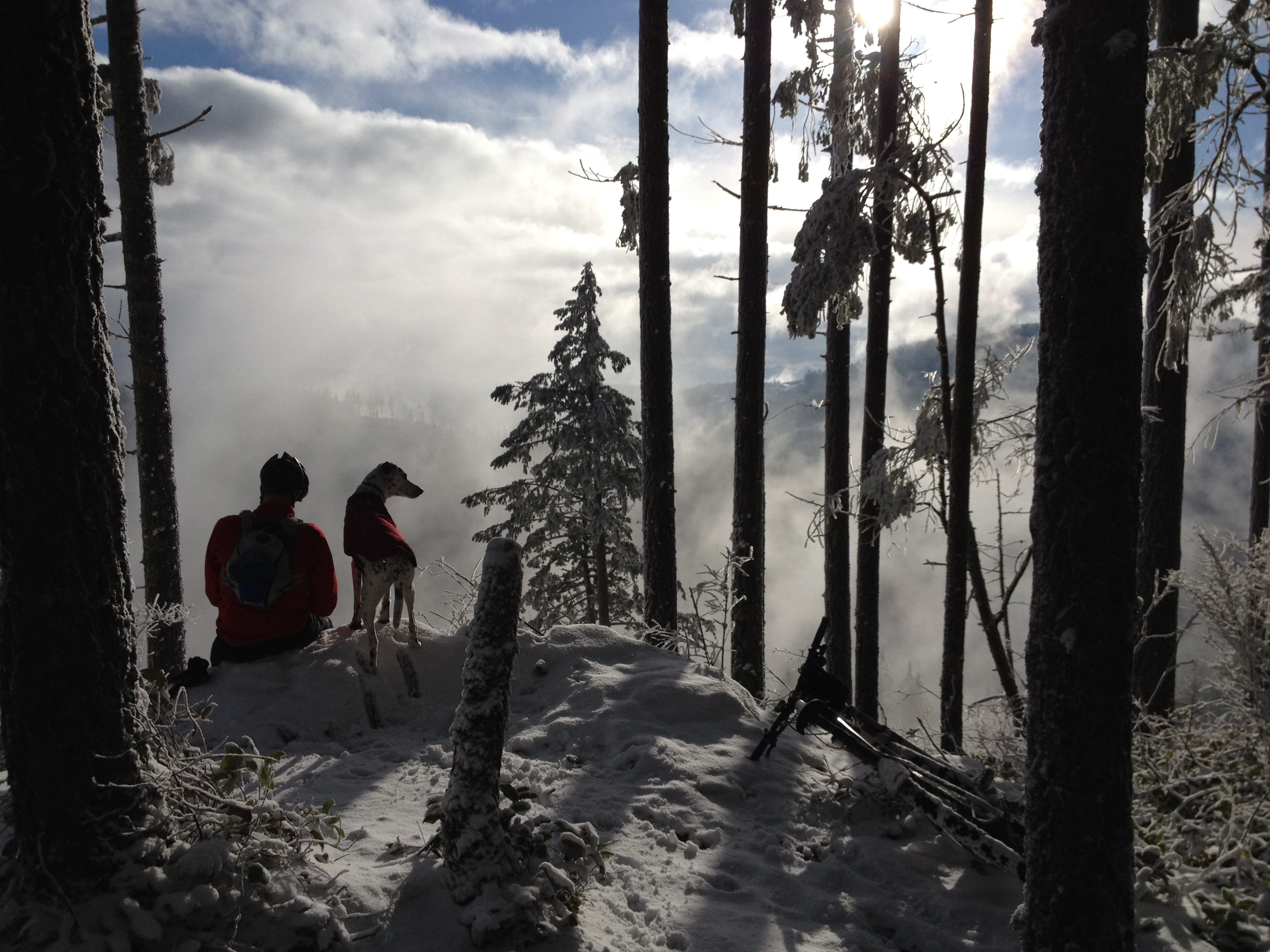 winter hiking, man, nature, outdoors, plant, scenics - nature, ManS Best Friend, two people, sitting, cloud - sky, snow, beside, real people, dog, cold temperature, HD Wallpaper