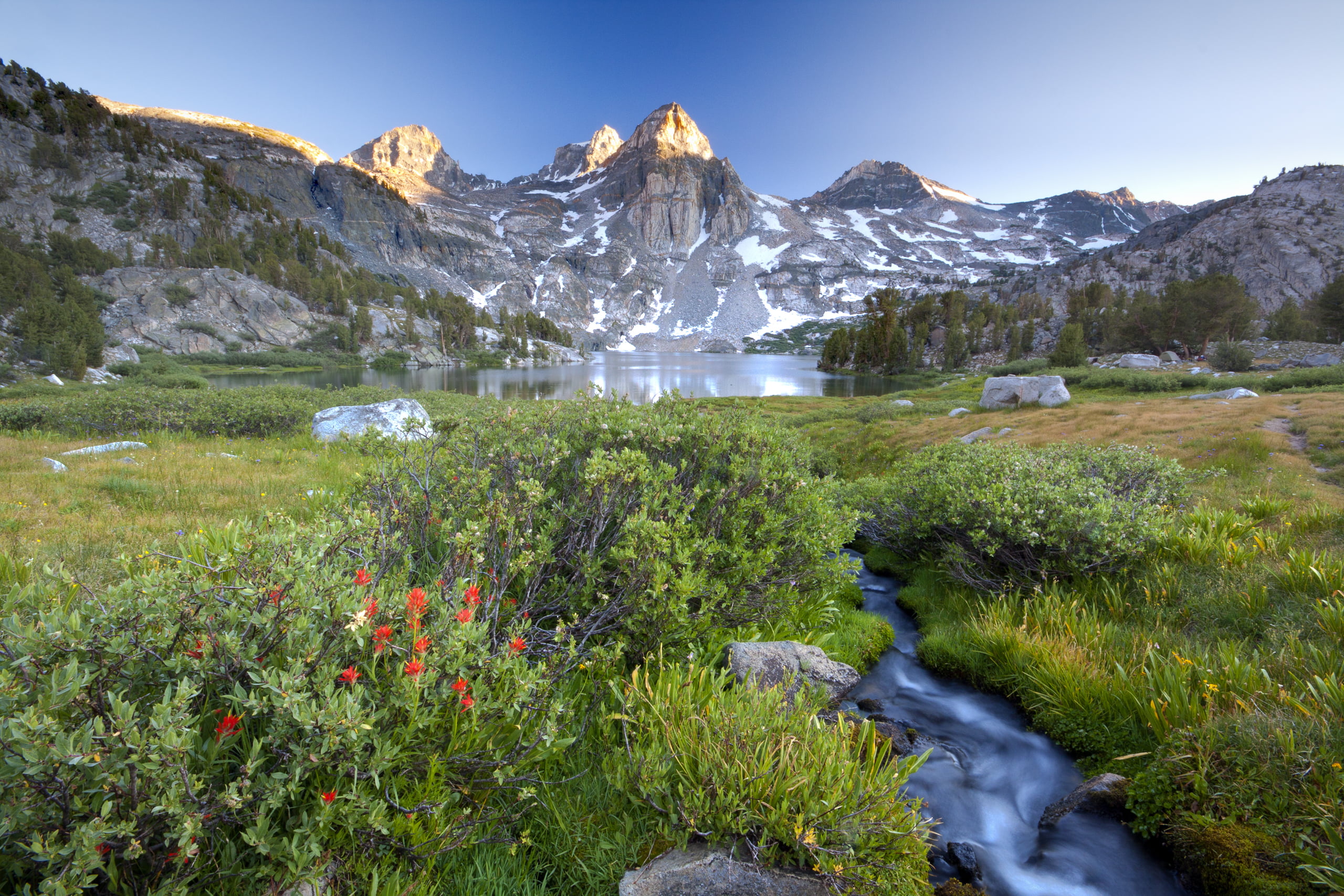 flowers, nature, sierra, reflection, mountain range, landscape, 2K, river, scenics, outdoors, summer, daytime, mountain, mountain Peak, indian paintbrush, HD Wallpaper