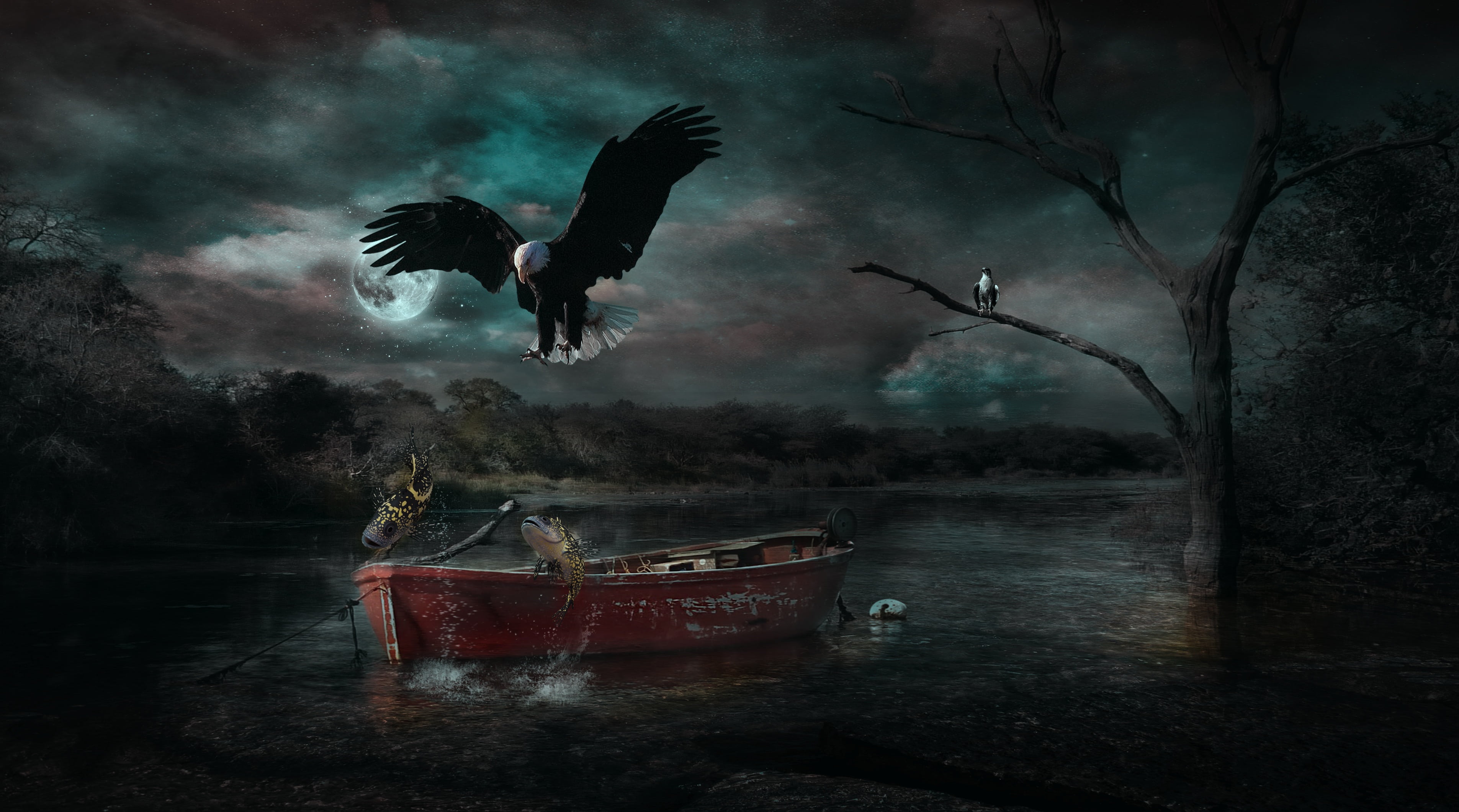 nature, photoshop manipulation, transportation, bird, water, night, dark, animal, sky, bare, vertebrate, fantasy, animal wildlife, eagle, tree, mid-air, HD Wallpaper