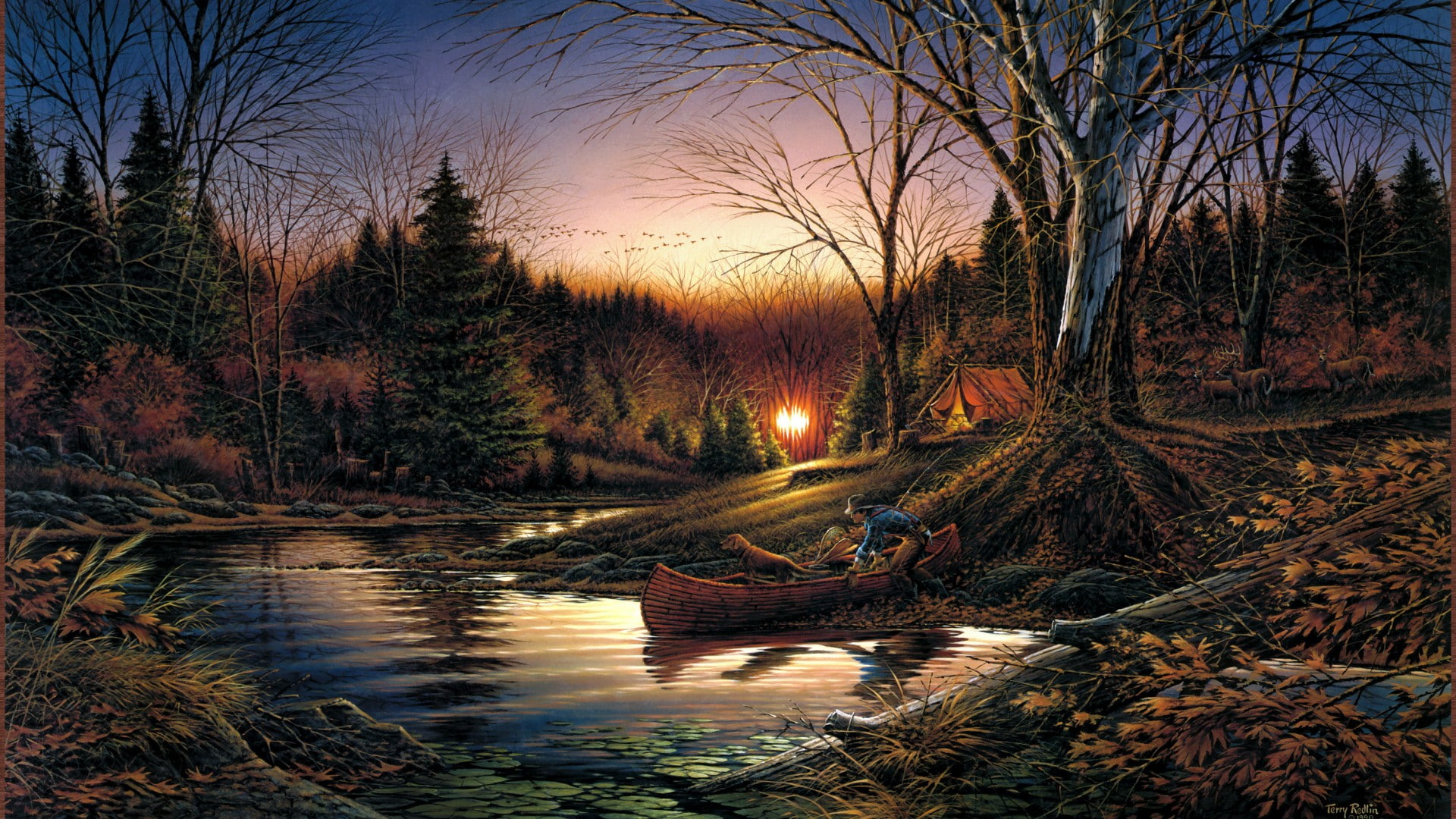 deer, morning, 1080P, sunrise, terry, dog, boat, solitude, forest, tent, redlin, birds, art, autumn, river, HD Wallpaper