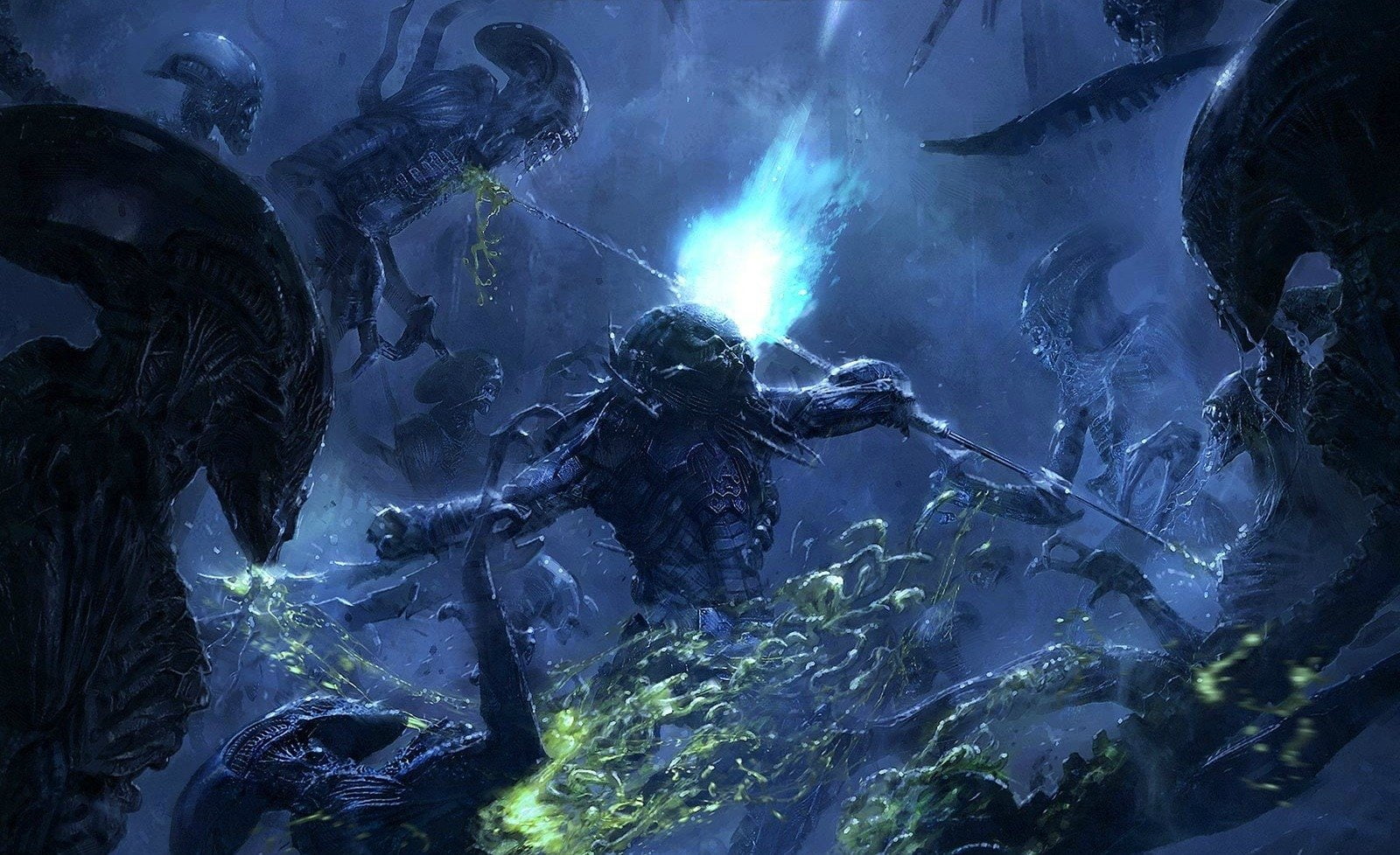 Alien vs. Predator, Horror, Thriller, Alien, Space Marine, 720P, Predator, Sci Fi, HD Wallpaper