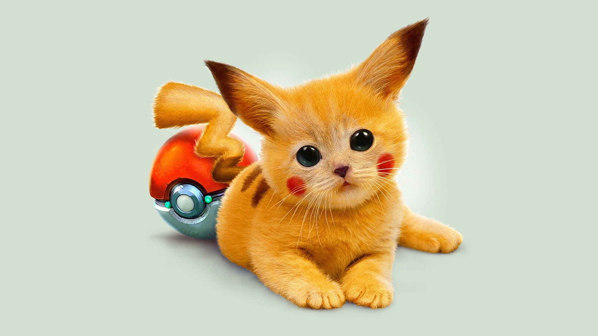 1080P, pokemon, Pikachu, Pokéballs, HD Wallpaper