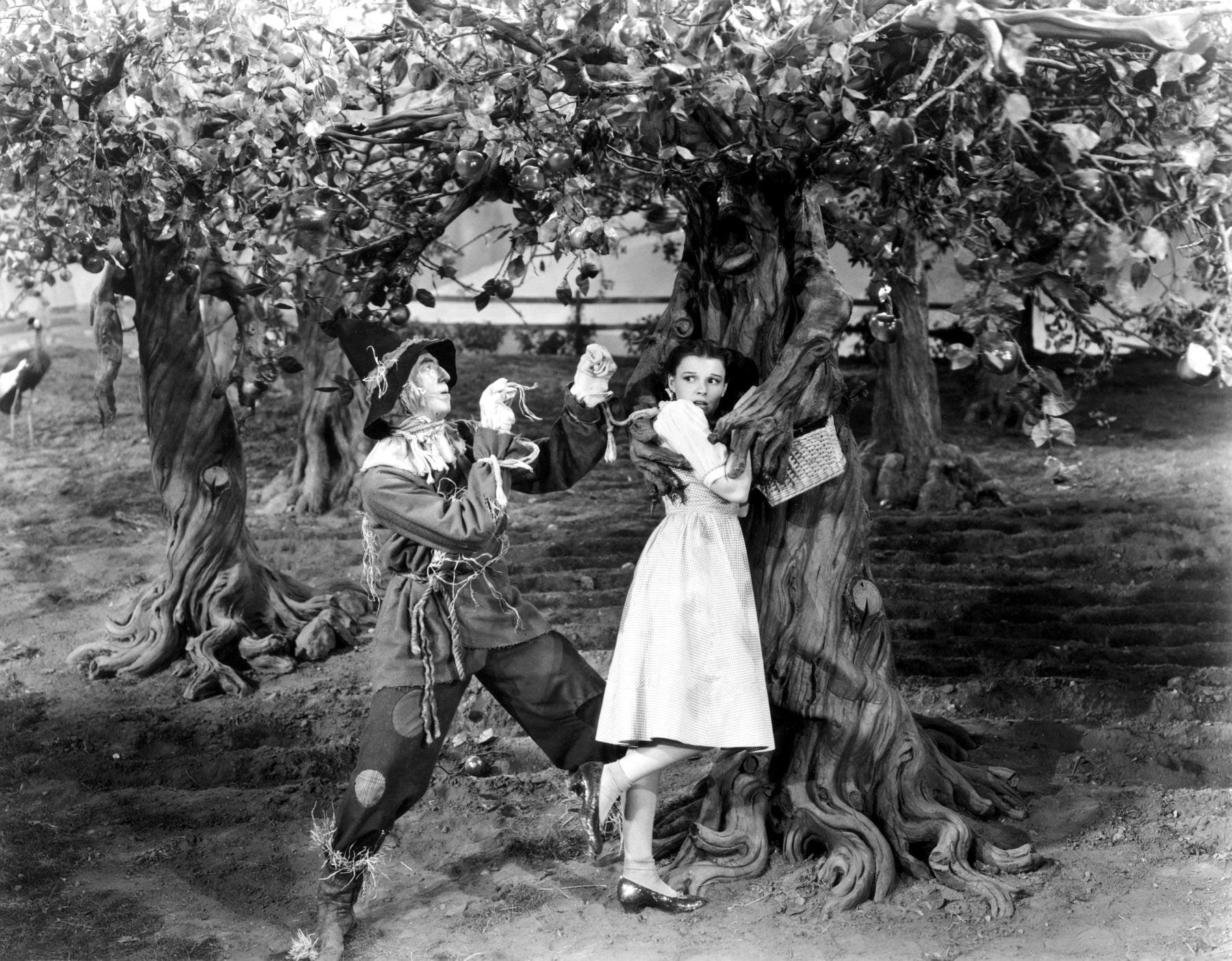 o z, film, adventure, wizard of oz, 720P, movie, fantasy, wizard, family, HD Wallpaper