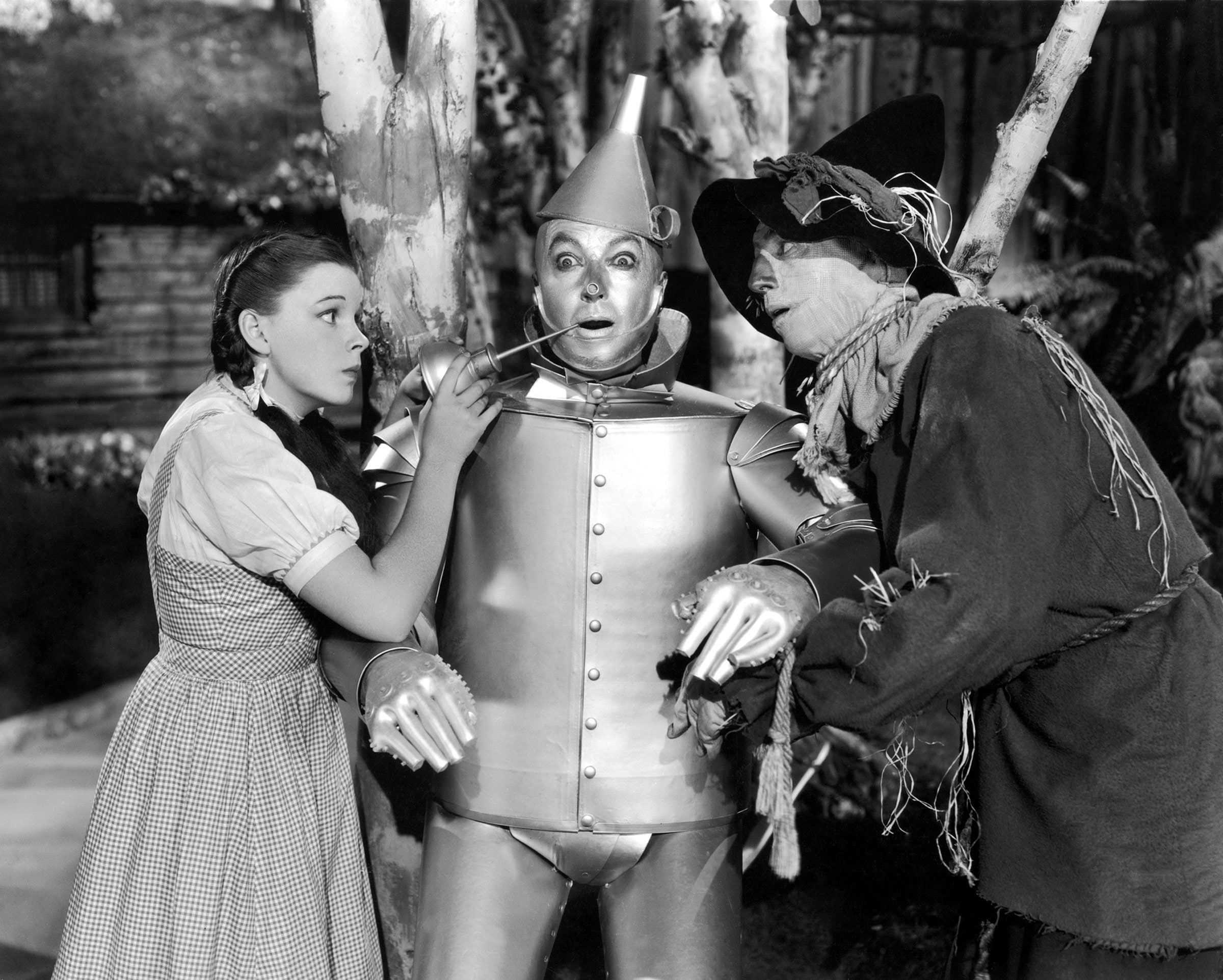 family, fantasy, adventure, film, 1080P, movie, wizard of oz, wizard, o z, HD Wallpaper