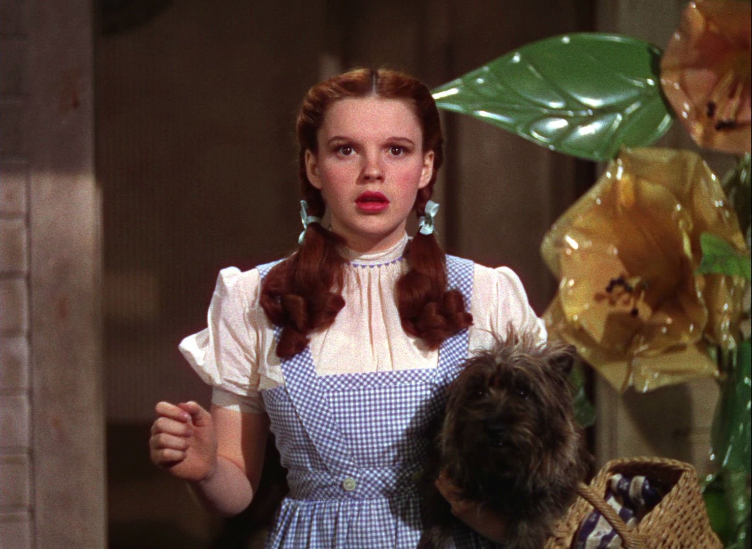wizard of oz, wizard, o z, movie, film, family, 720P, adventure, fantasy, HD Wallpaper