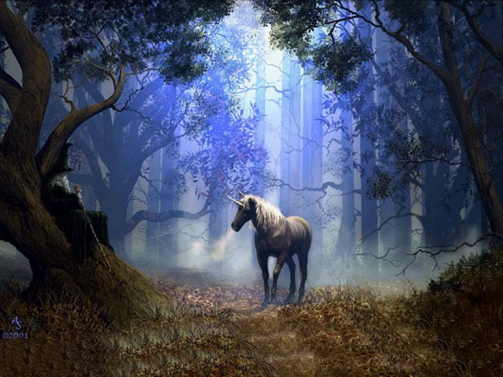 Abstract, hd, unicorn, 480P, fantasy, wizard, art, HD Wallpaper