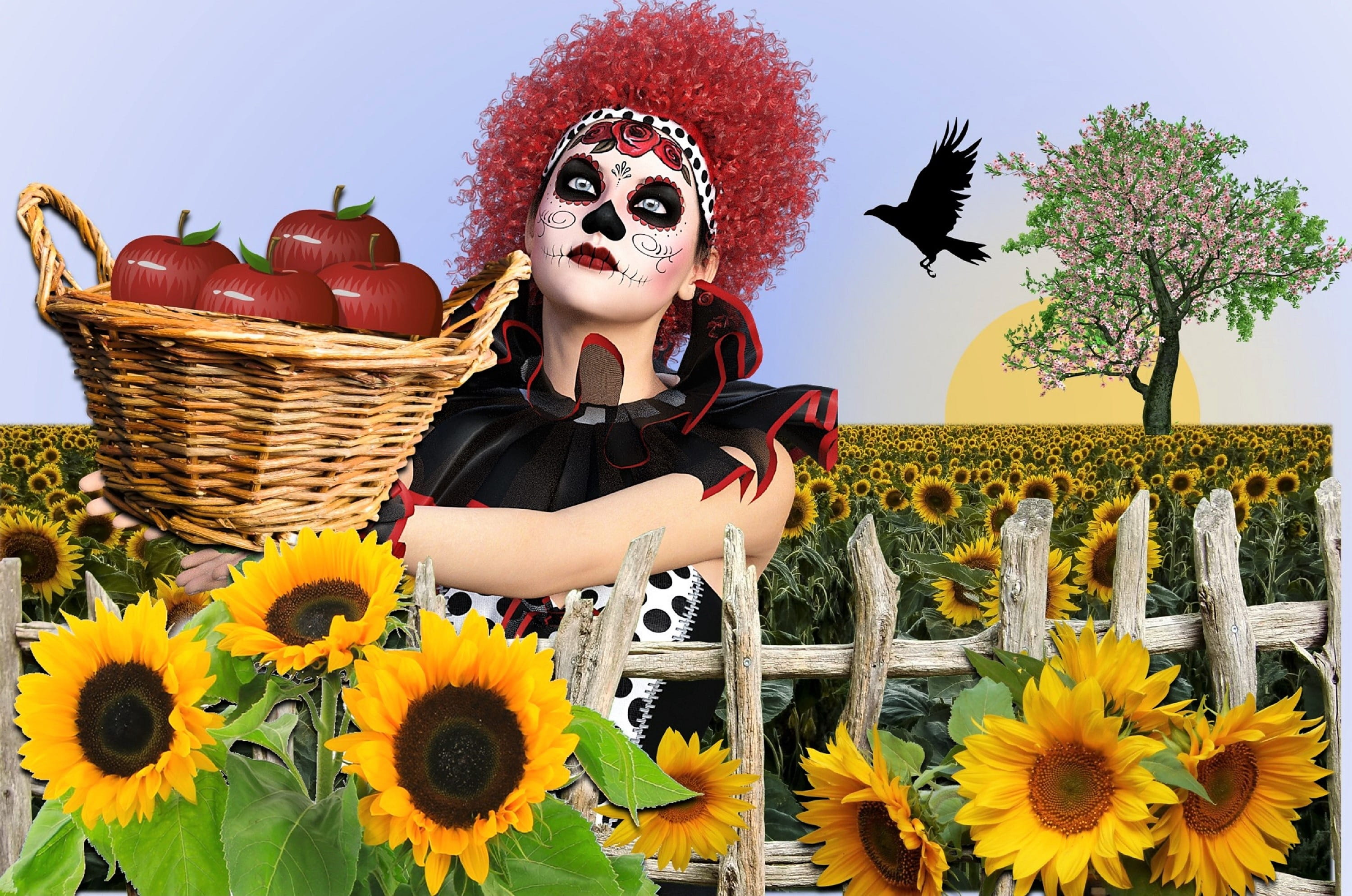 flower, waist up, front view, fantasy, red, fragility, yellow, beauty in nature, 2K, sunflower, freshness, wizard of oz, inflorescence, flower head, oz, HD Wallpaper