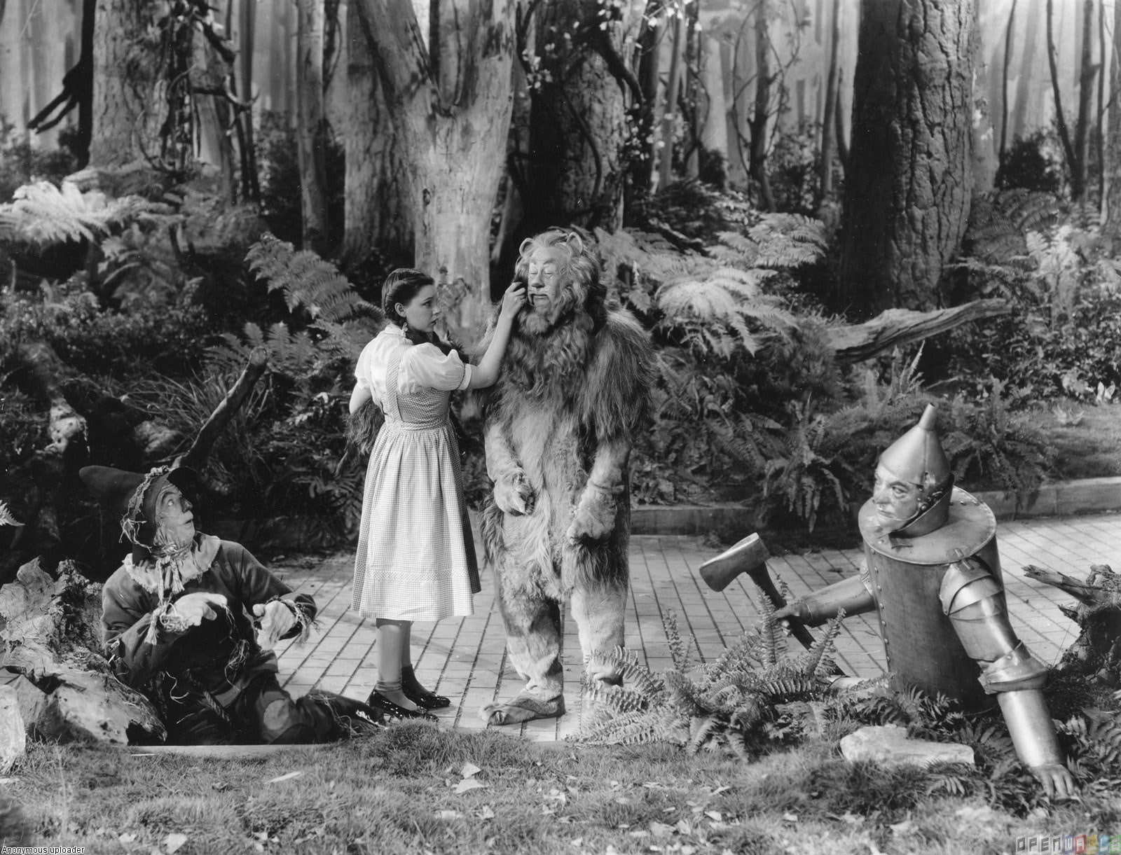 the wizard of oz, 720P, HD Wallpaper