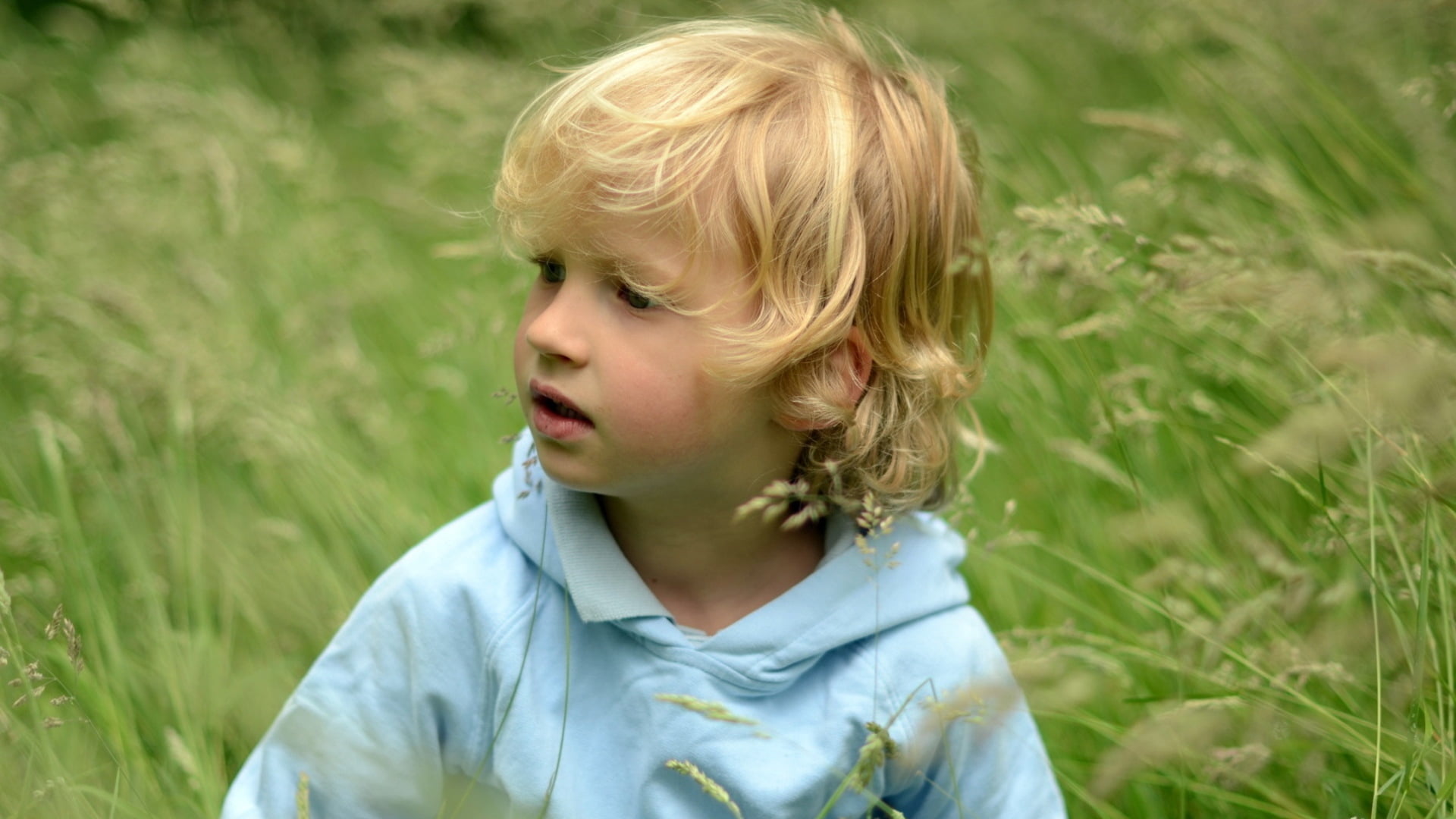 cheerful, sunlight, casual clothing, plant, walk, babies And Children, grass, day, s, females, child, nature, happiness, fun, boy, preschool Age, caucasian Ethnicity, HD Wallpaper