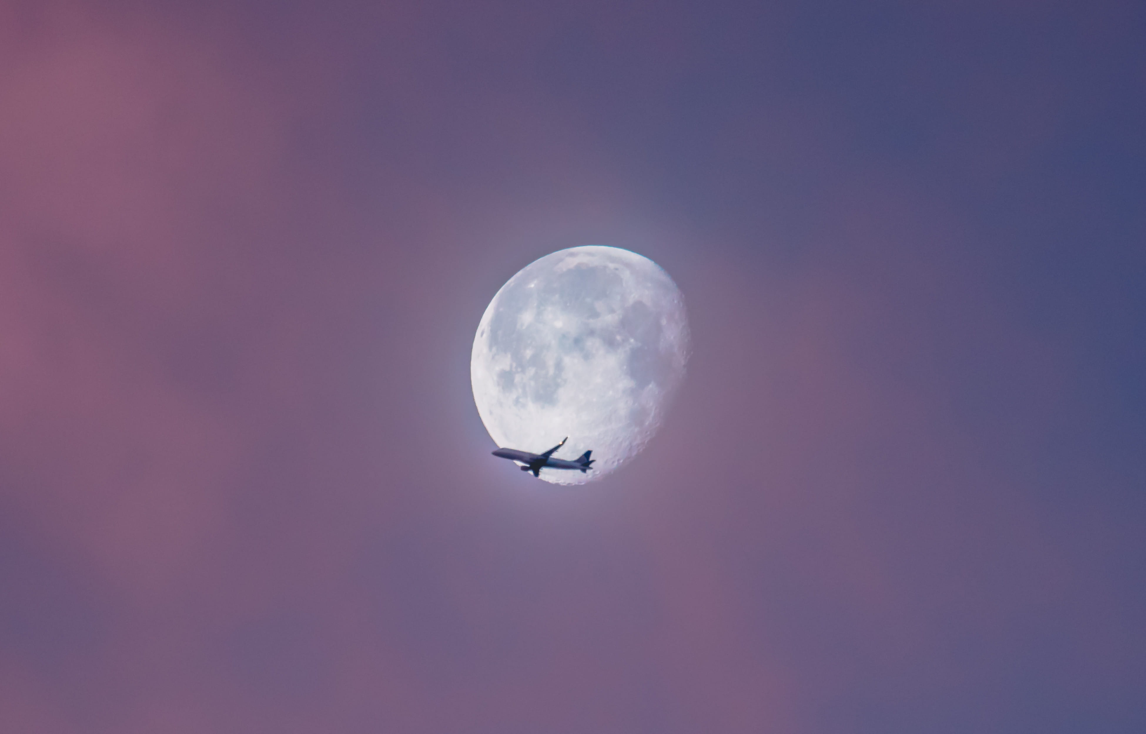 astronomy, scenics - nature, full, airplane, animal themes, one animal, moonlight, star, no people, mode of transportation, transportation, sky, Moon, 4K, HD Wallpaper