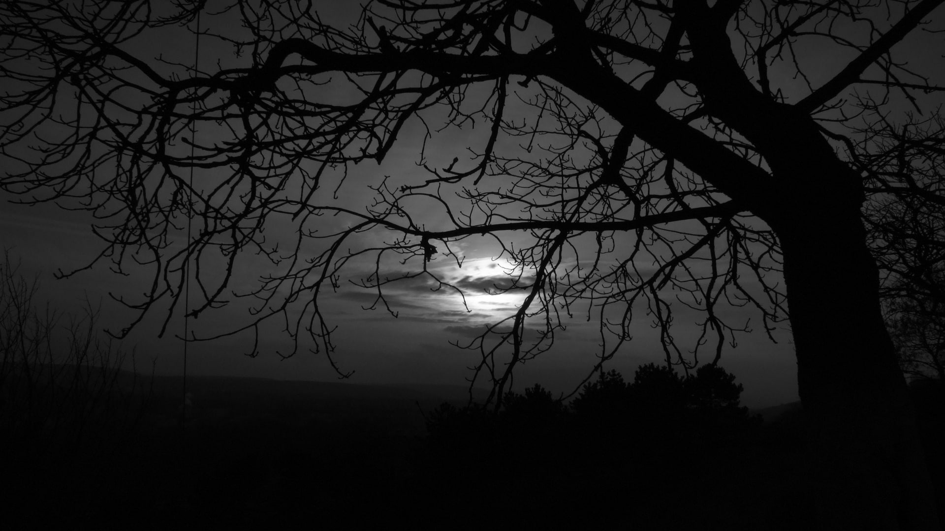 dark, bw, photo, 1080P, nature, tree, silhouette, hd, moon, shadow, clouds, HD Wallpaper