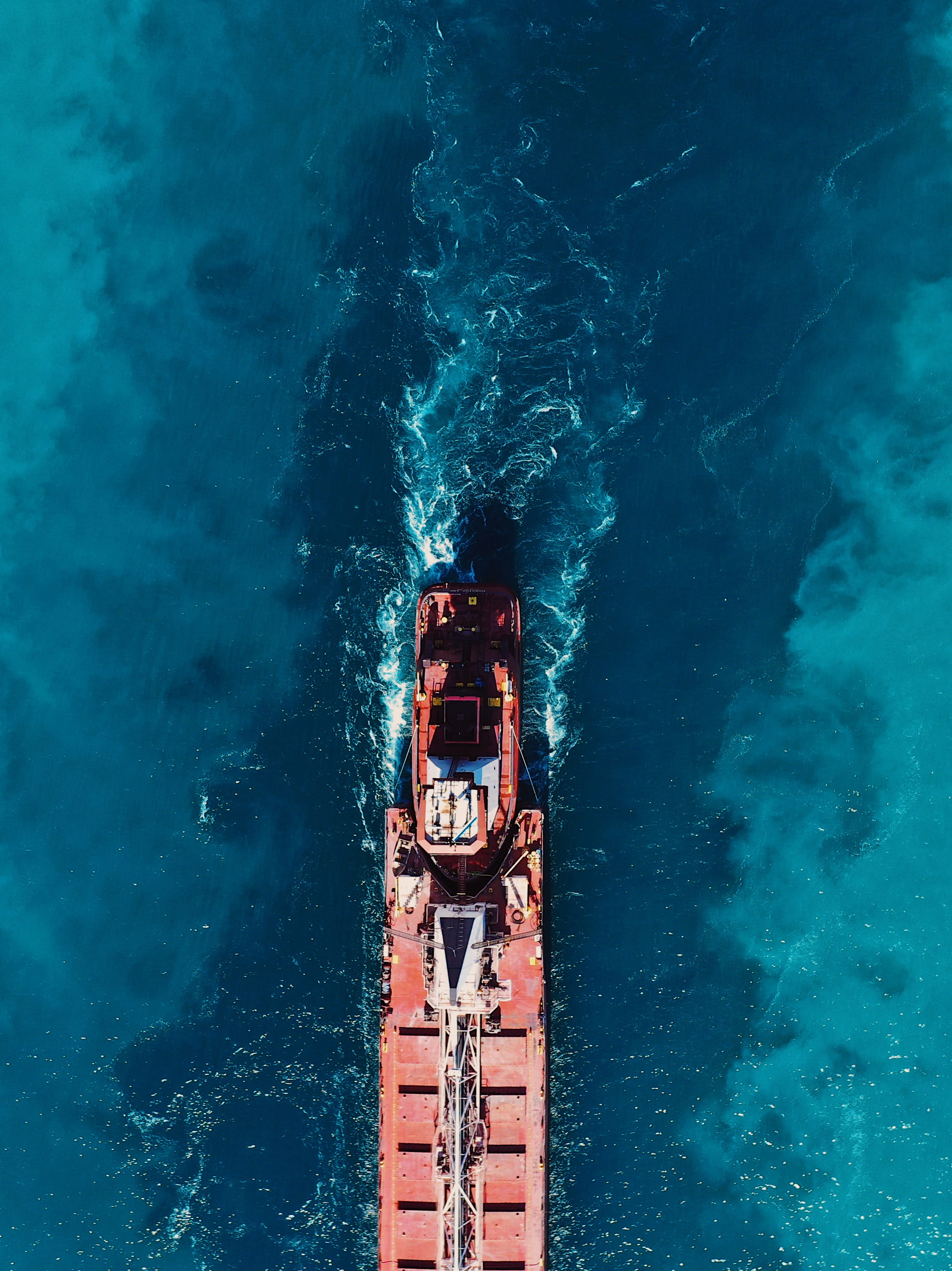 leisure activity, bird, ship, directly above, beauty in nature, day, sea, vessel, travel, photography, boat, motion, nature, no people, transportation, Phone HD Wallpaper