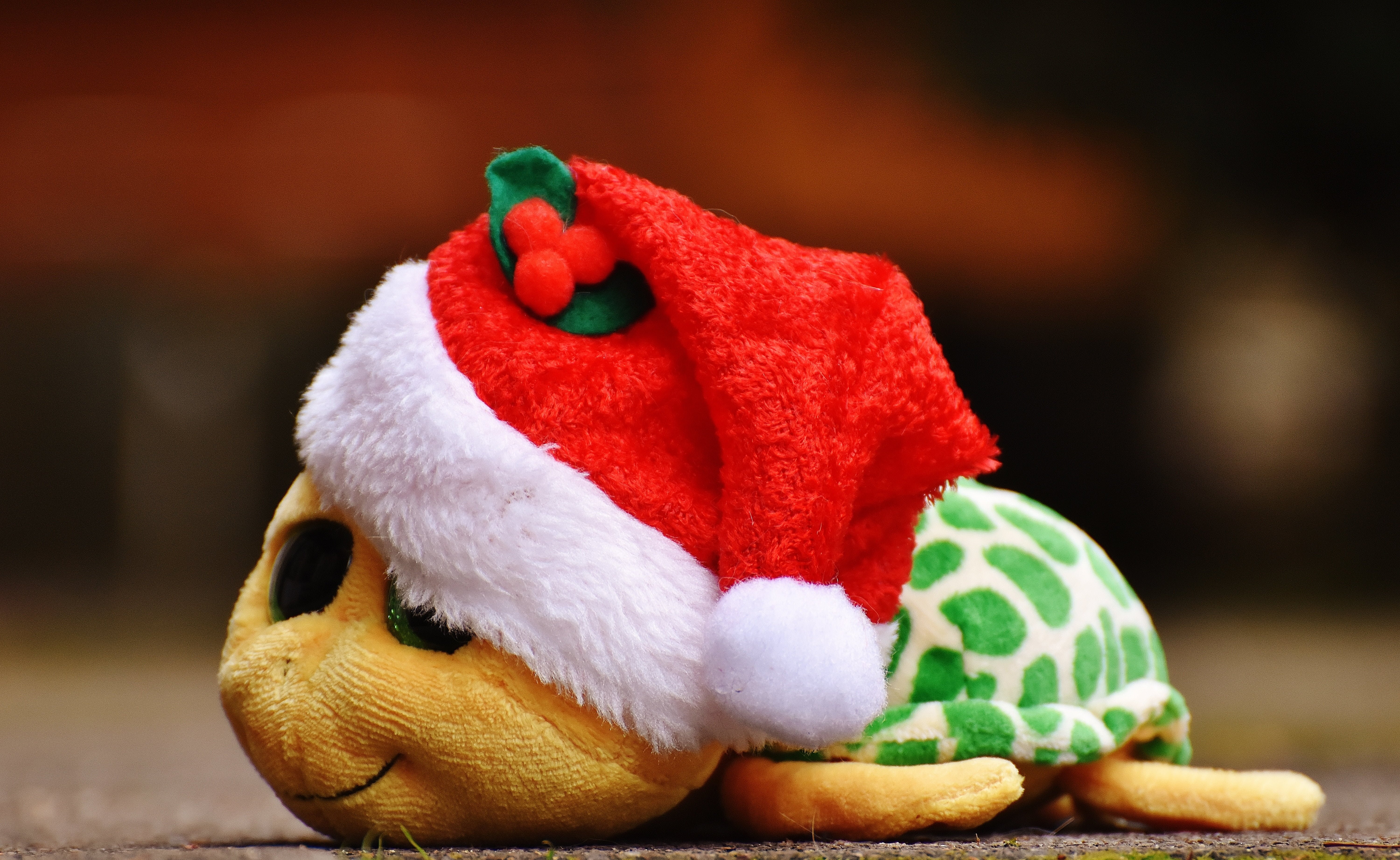 toys, season, 5K, mammal, close-up, santa Claus, no people, focus on foreground, soft toy, representation, celebration, hat, food and drink, domestic animals, HD Wallpaper