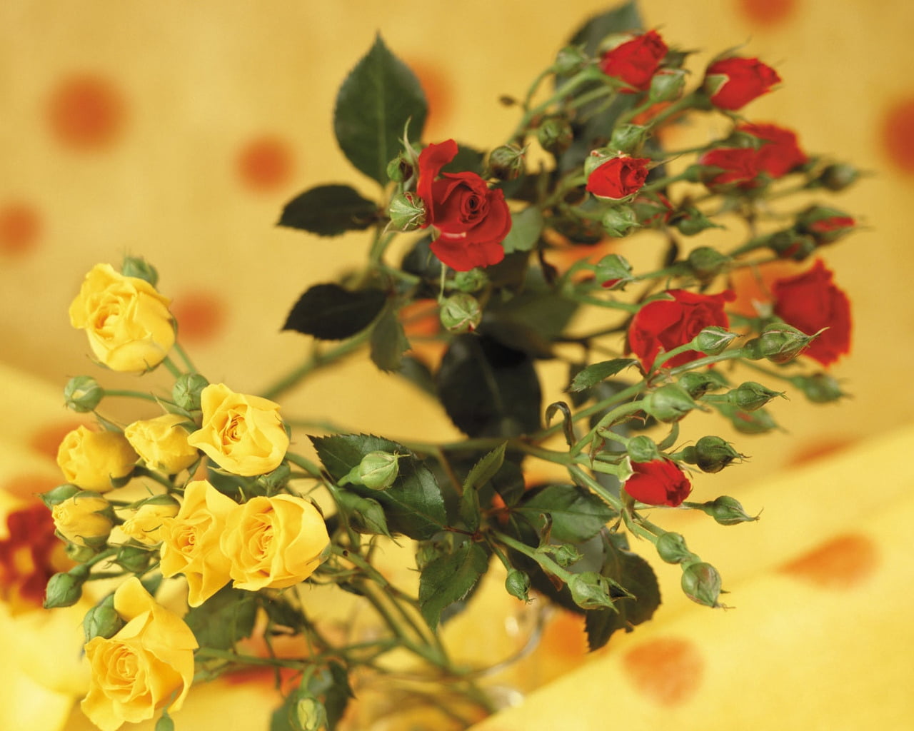 bunch of flowers, plant, multi Colored, rose - Flower, flower Head, day, flowers, roses, summer, bouquet, 720P, botany, flowering plant, flower arrangement, HD Wallpaper