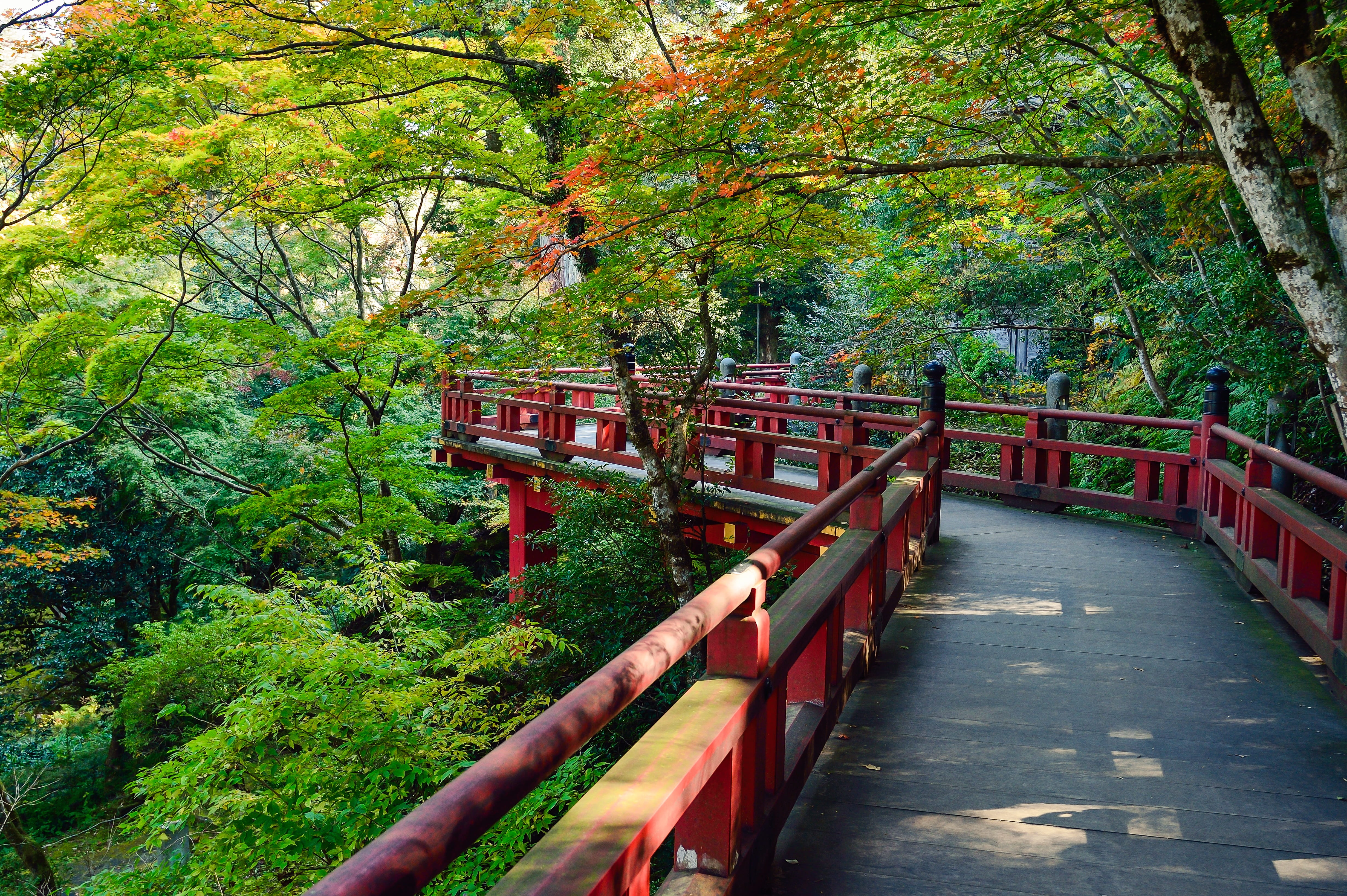 k, water, bridge, canal, photo, views of japan, no people, 4K, bridge - man made structure, plant, connection, tourist destination, railing, tree, the way forward, HD Wallpaper