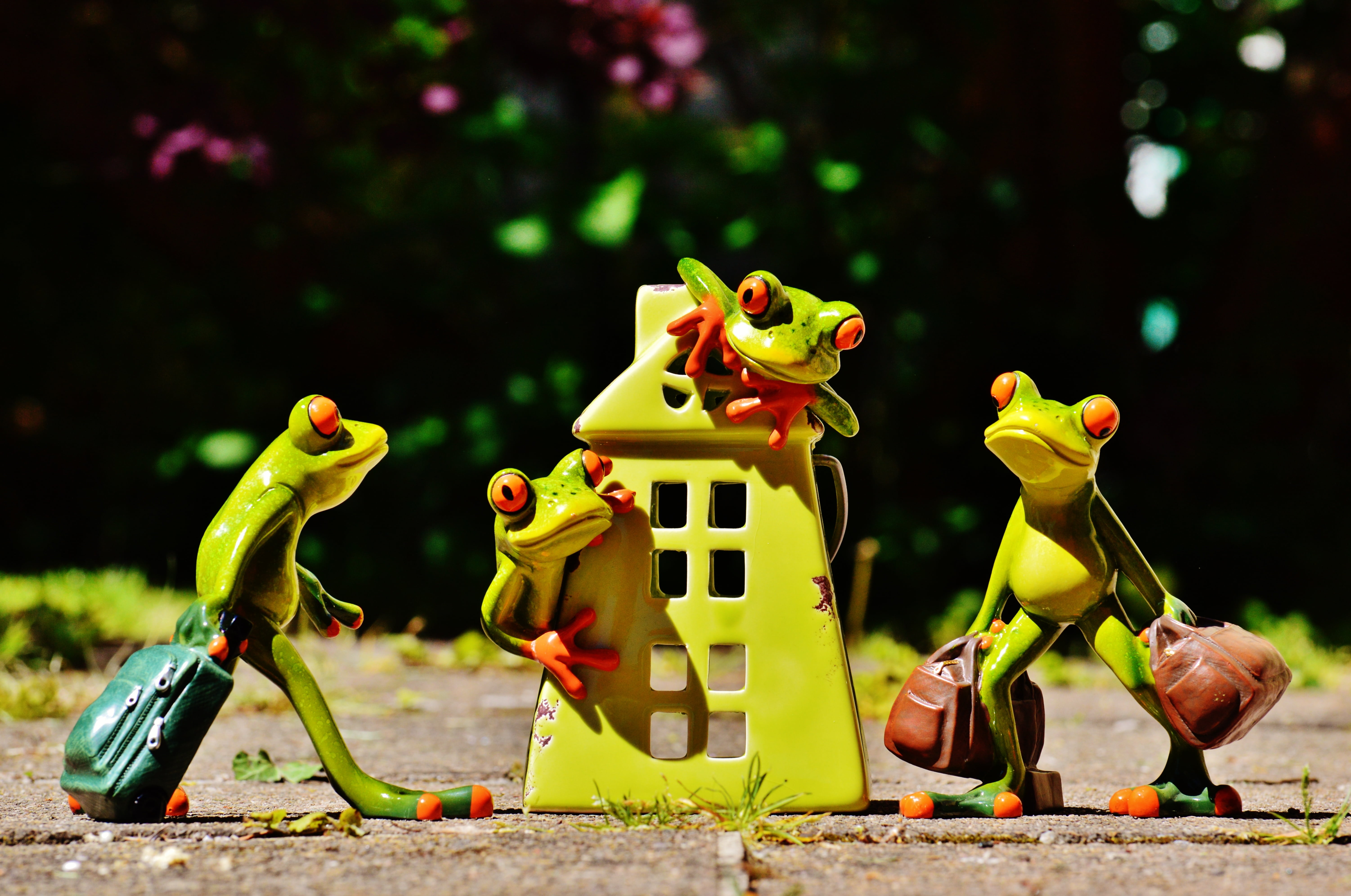 figure, cases, sweet, home, day, green, toy, welcome, frog, arrive, no people, close-up, plastic, beautiful, cute, representation, art and craft, outdoors, HD Wallpaper
