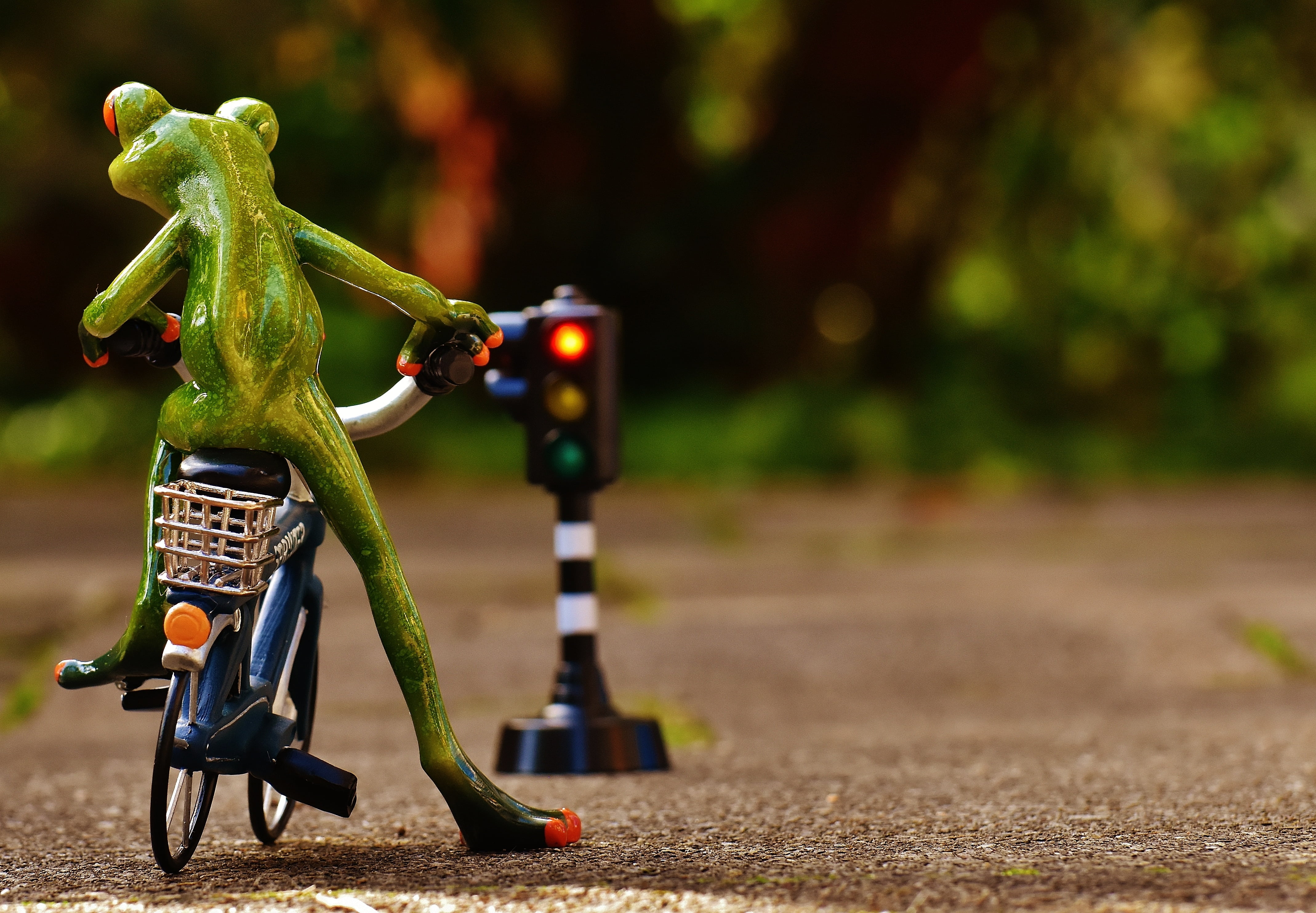 creativity, fun, close-up, nature, traffic lights, selective focus, outdoors, decoration, frog, park, sunlight, bicycle, ceramic, art and craft, traffic, HD Wallpaper