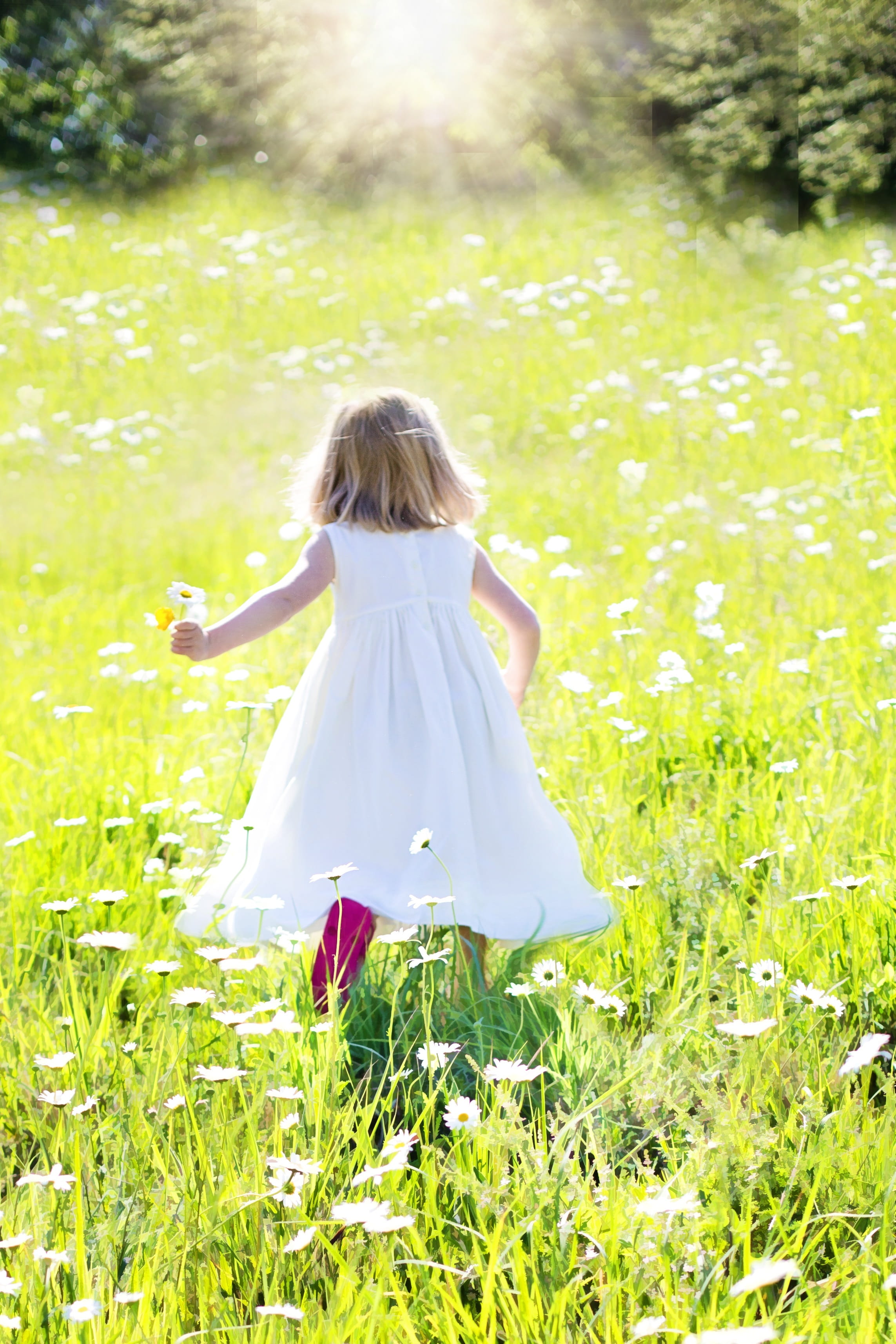 dress, 2K, sunlight, human arm, tank, full length, green color, women, meadow, green grass, girl in white, plant, grass, lifestyles, outdoors, one person, Phone HD Wallpaper