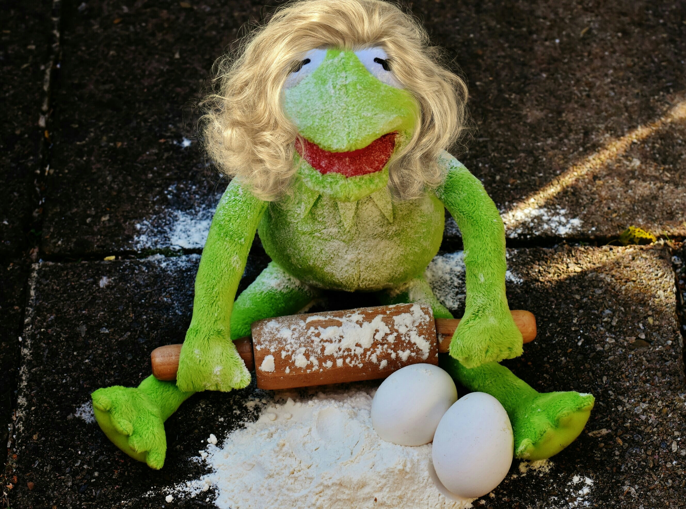 soft toy, day, one person, celebration, creativity, fun, no people, frog, funny, toy, child, directly above, childhood, 2K, one boy only, art and craft, HD Wallpaper