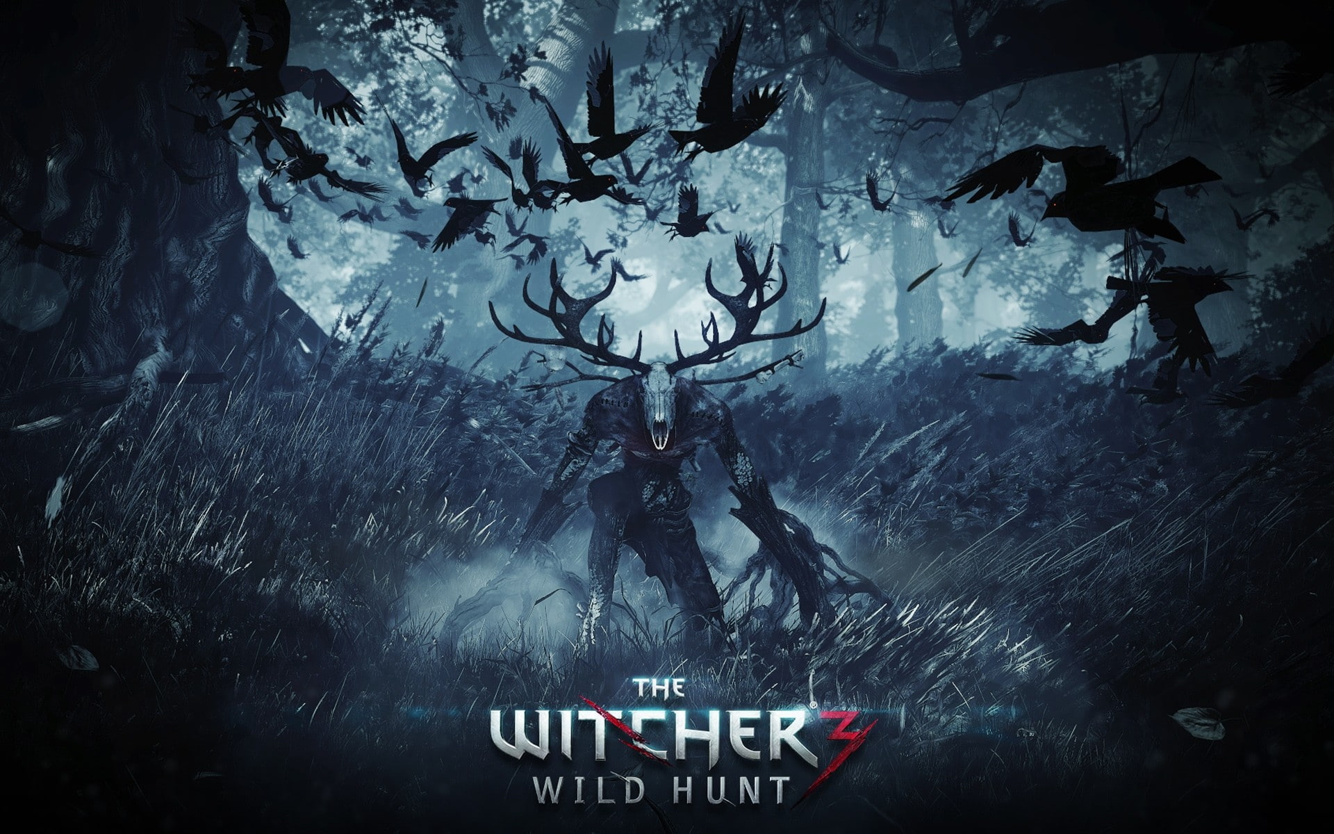 1080P, monster, wild, game, poster, hunt, witcher, HD Wallpaper