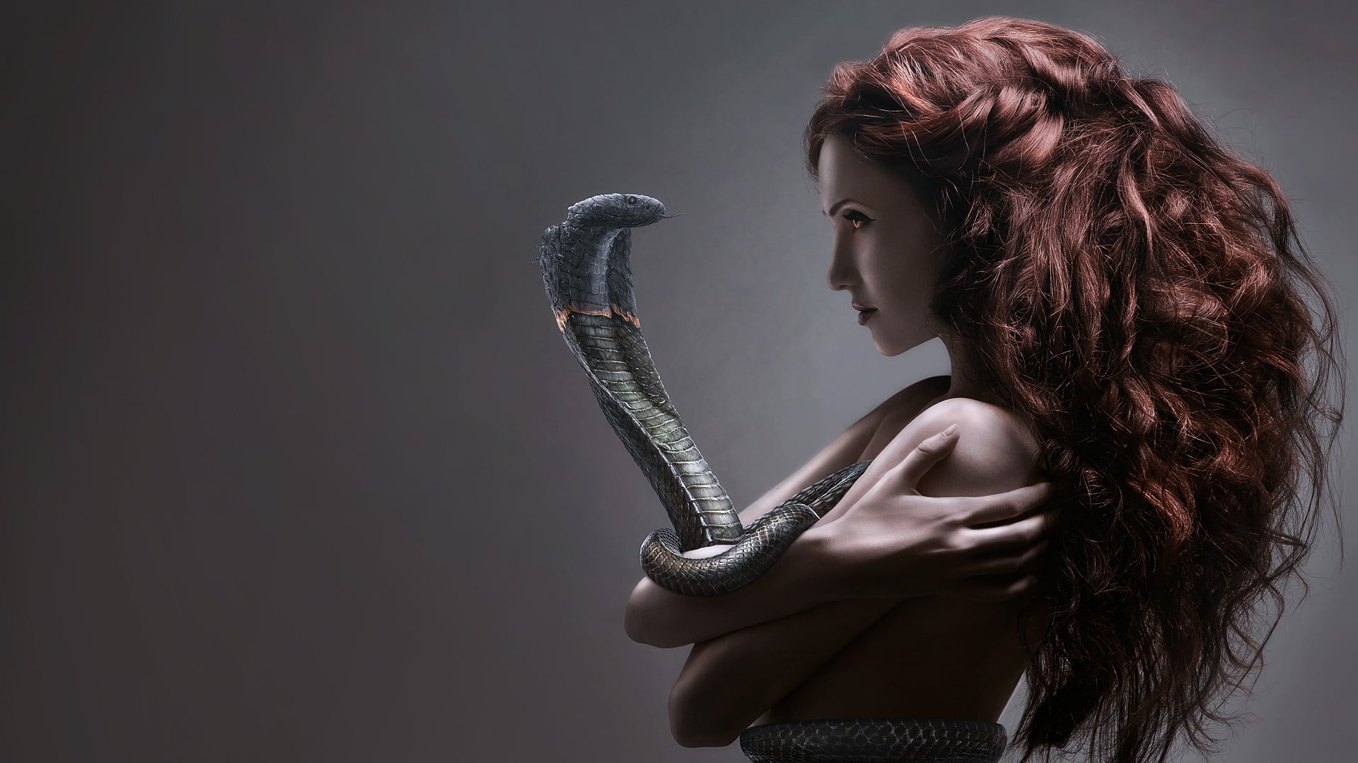 gray, copy space, brown hair, young women, side view, redhead, profile view, adult, long hair, 1080P, snake, dyed hair, hair, studio shot, hairstyle, beauty, HD Wallpaper