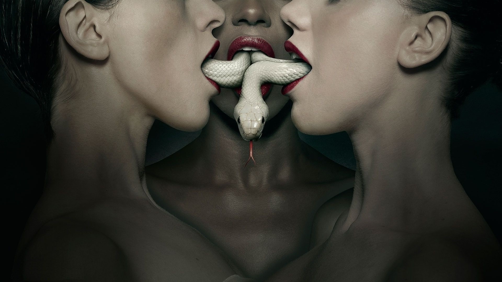 1080P, snake, American Horror Story, HD Wallpaper