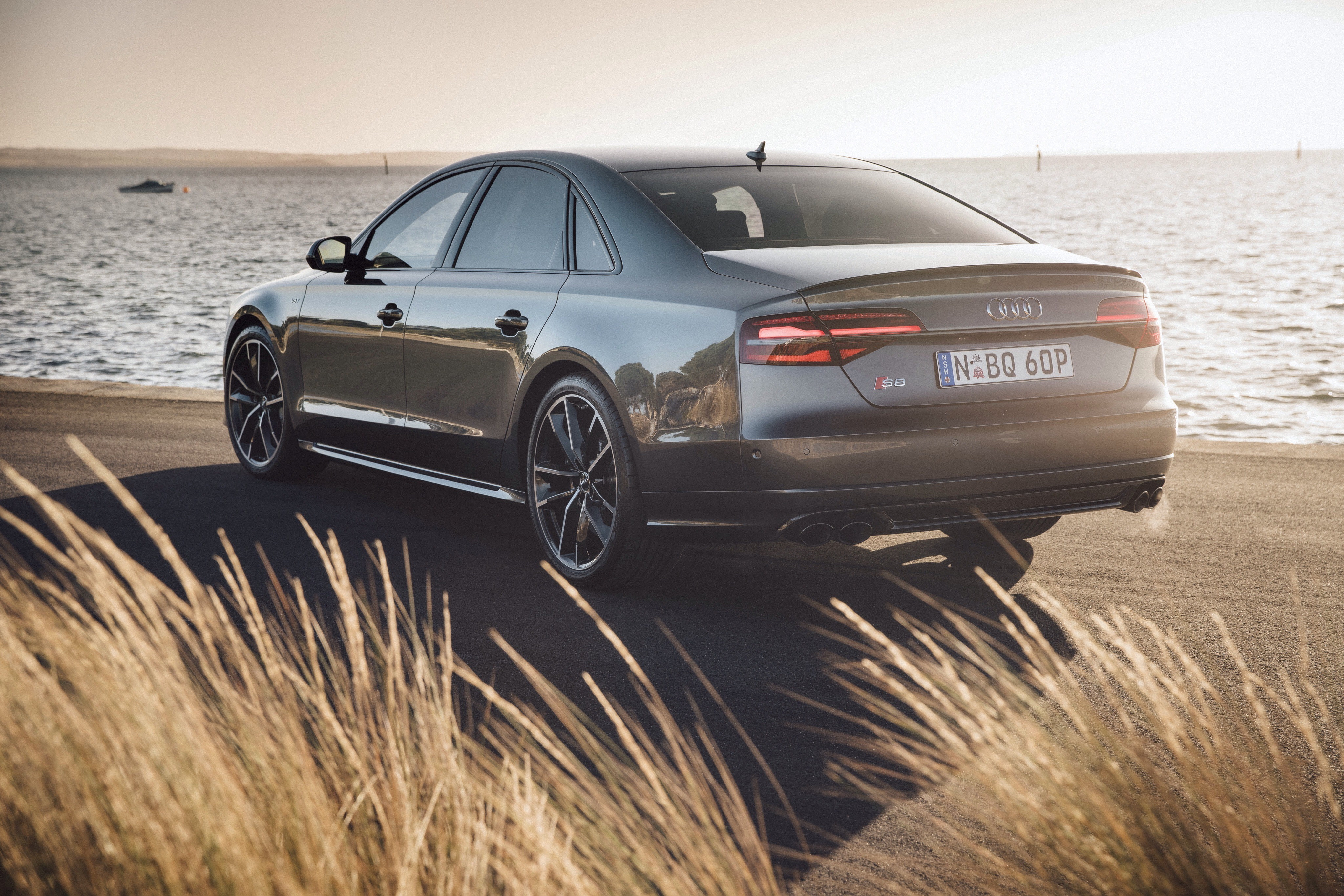 Plus, auto, grass, S8, Audi, 4K, s, light, back view, HD Wallpaper