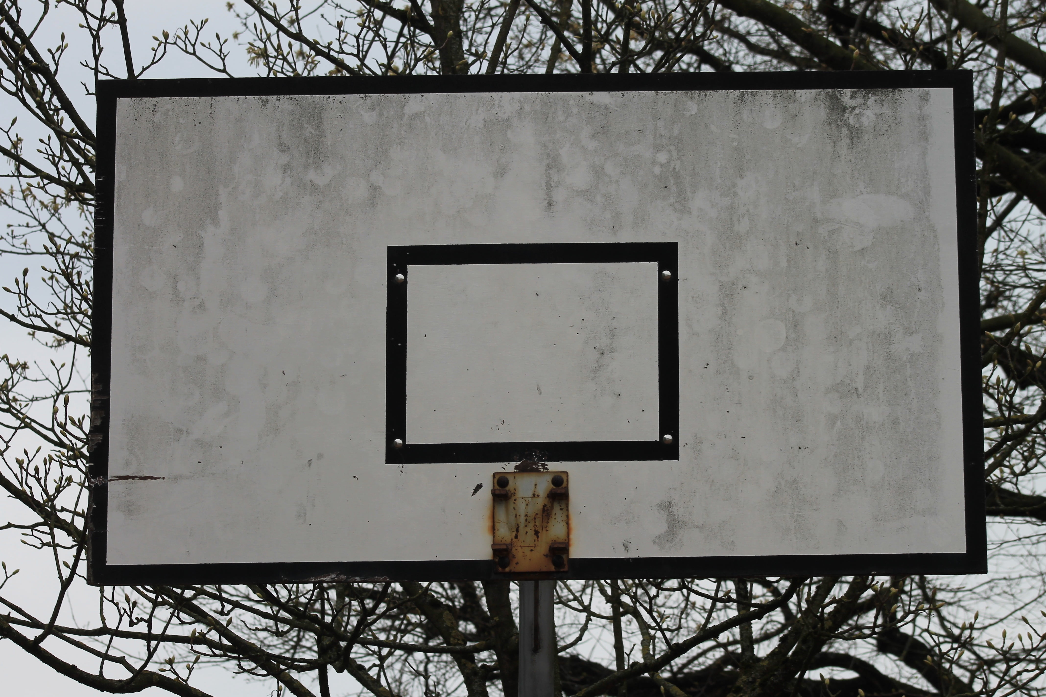 defect, built structure, basketball, connection, technology, wall - building feature, bare tree, frame, nature, geometric shape, 4K, shape, basketball hoop, HD Wallpaper