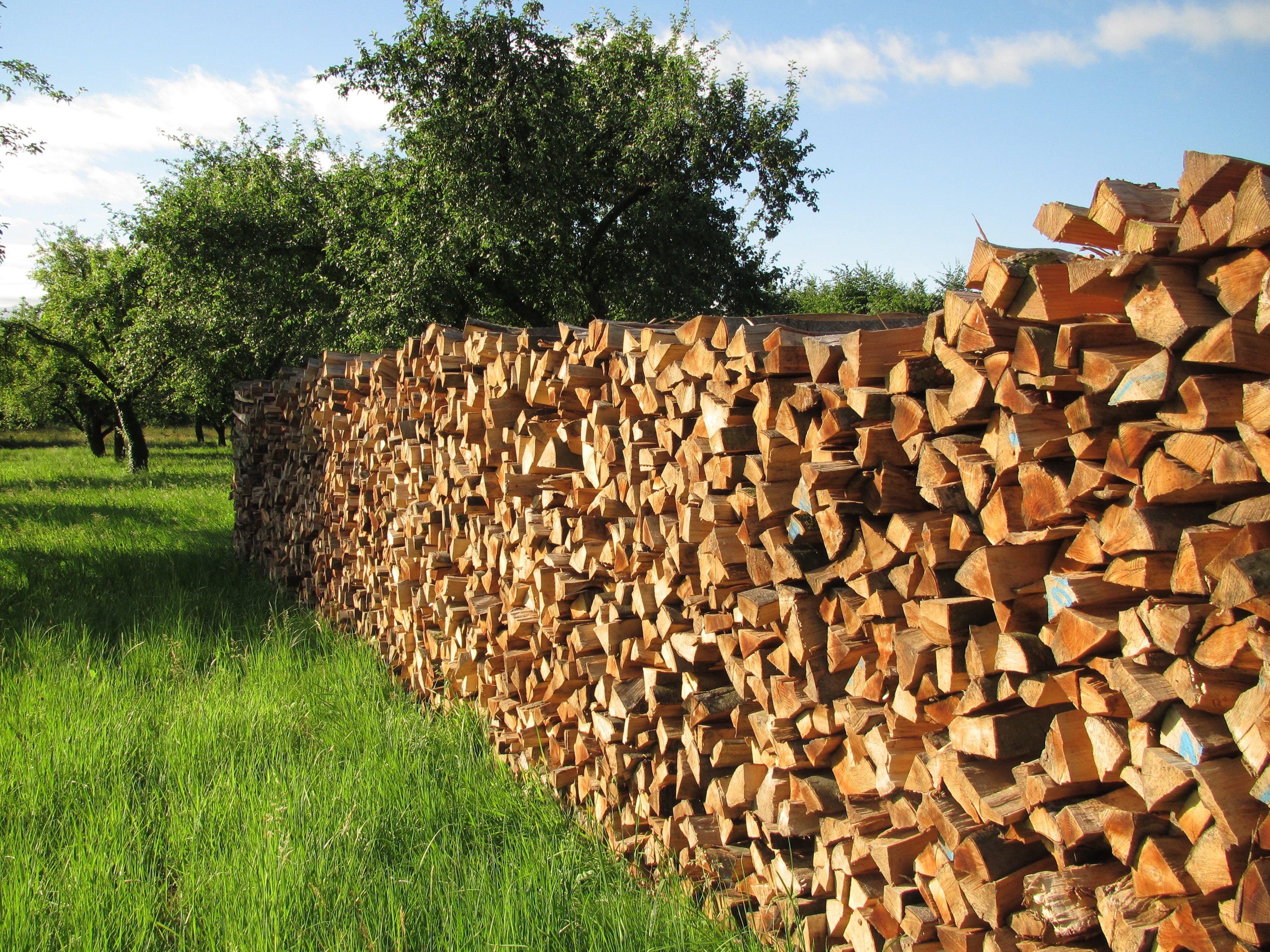stock, combs thread cutting, plant, material, firing, stacked up, timber, layer, land, nature, background, daytime, photo, energy, grass, lumber industry, HD Wallpaper