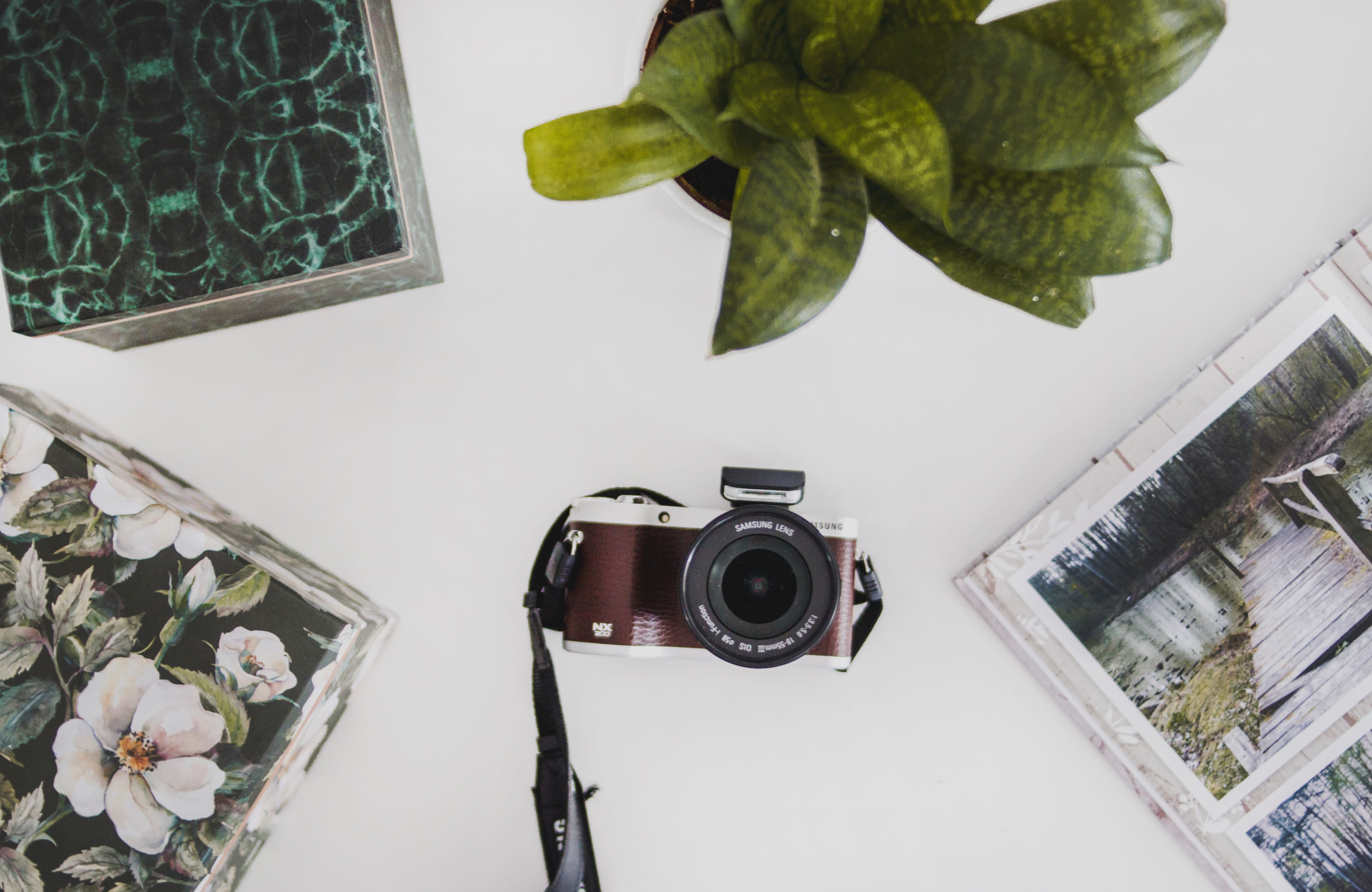 growth, camera, green color, plant, minimal, nature, indoors, day, 5K, electric lamp, photography, art, photo, leaf, samsung, photographing, camera - photographic equipment, HD Wallpaper